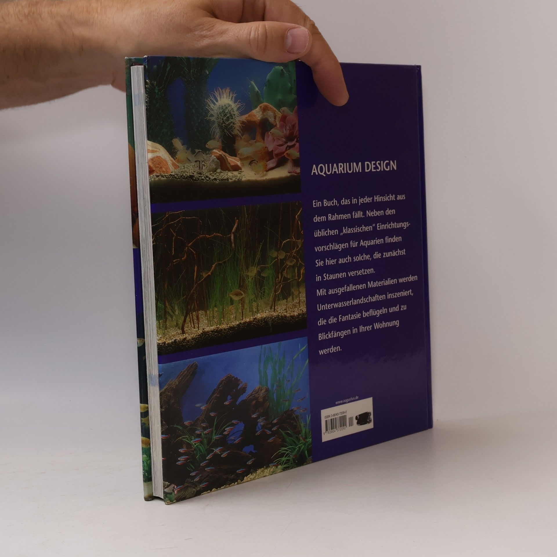 Matthew Christian Aquarium-Design