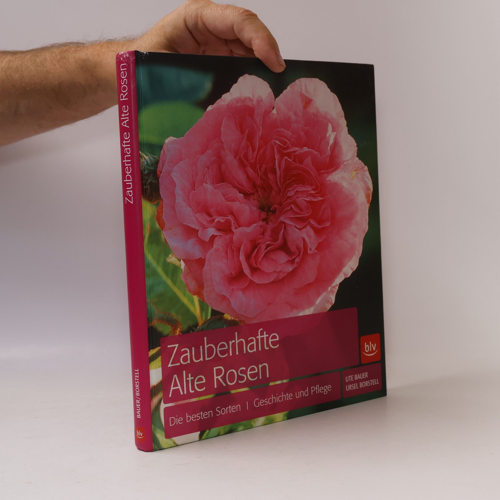 Zauberhafte alte Rosen