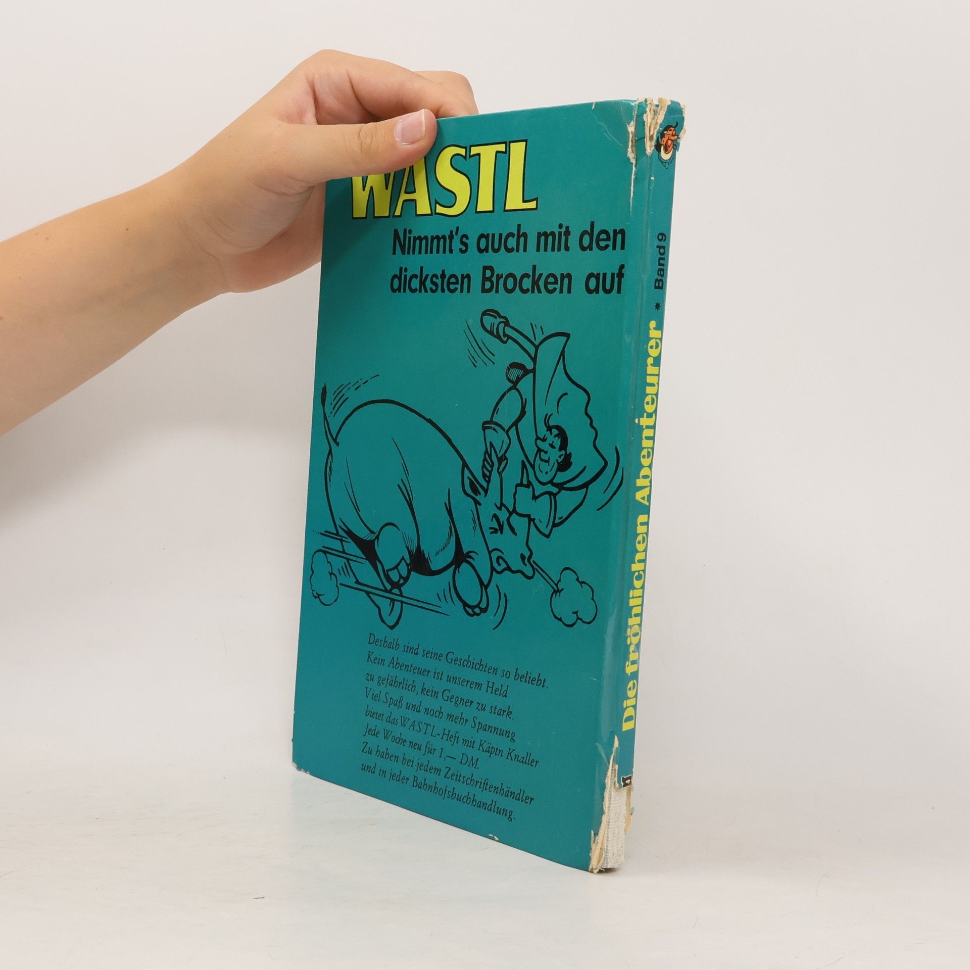Kolektiv autorů Die fröhlichen Abenteurer