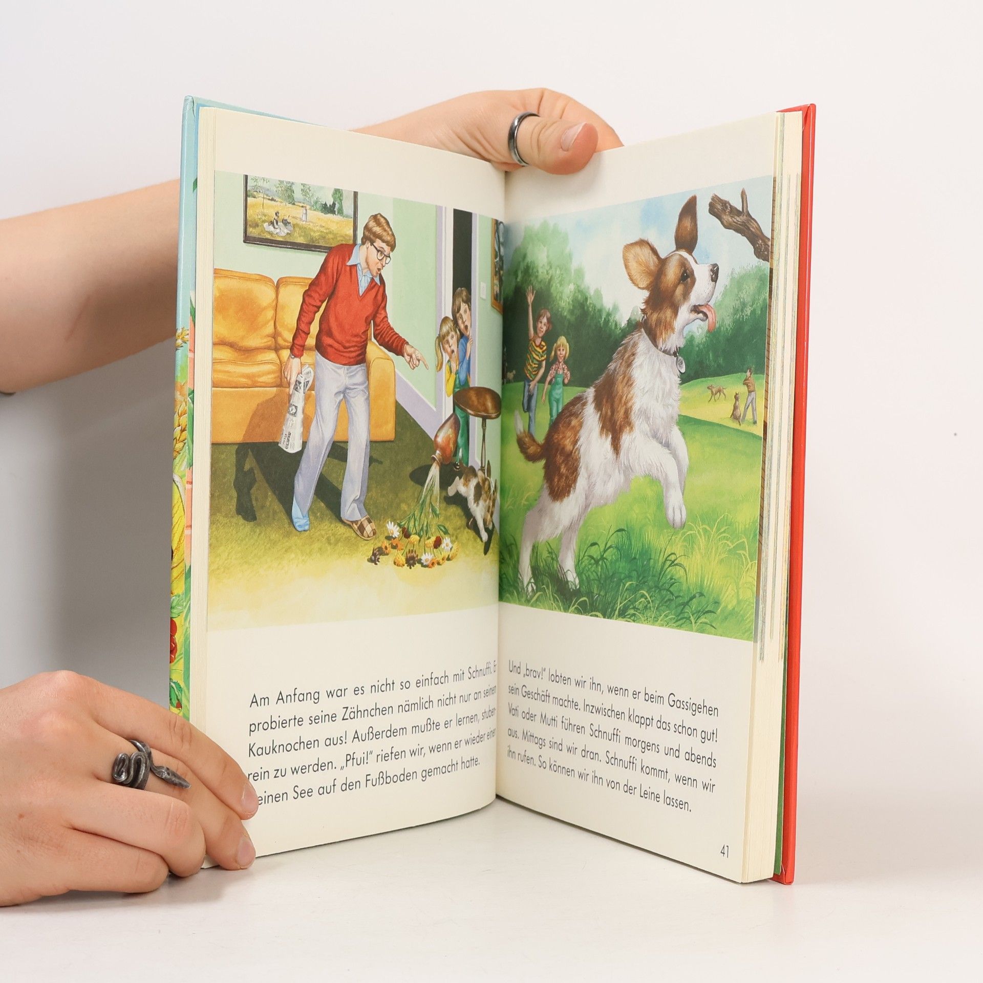 Gisela Fischer-Lingat Mein schönstes Tiergeschichtenbuch für kleine Leute - in GroBdruckschrift! -