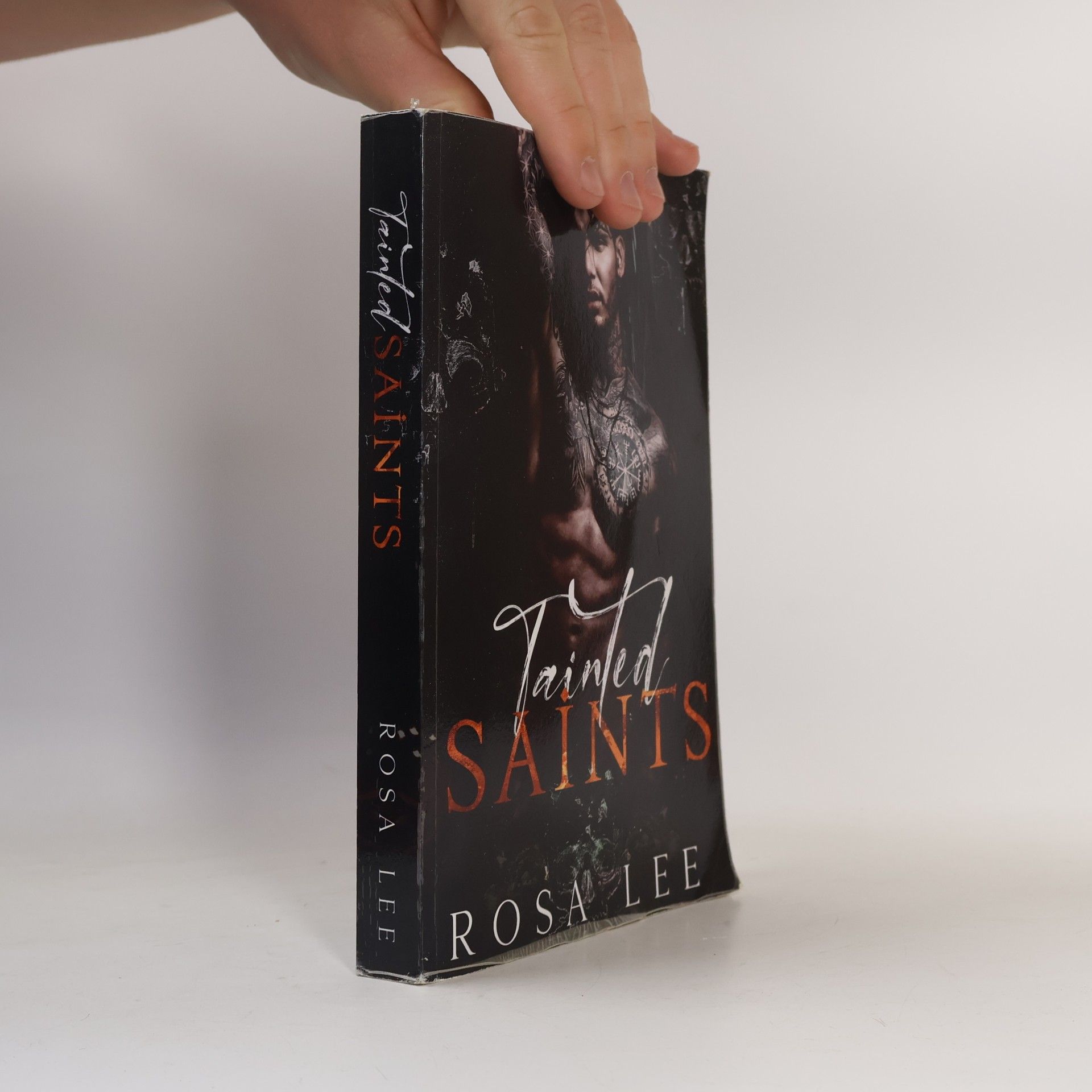 Rosa Lee Dark Retellings: Tainted Saints