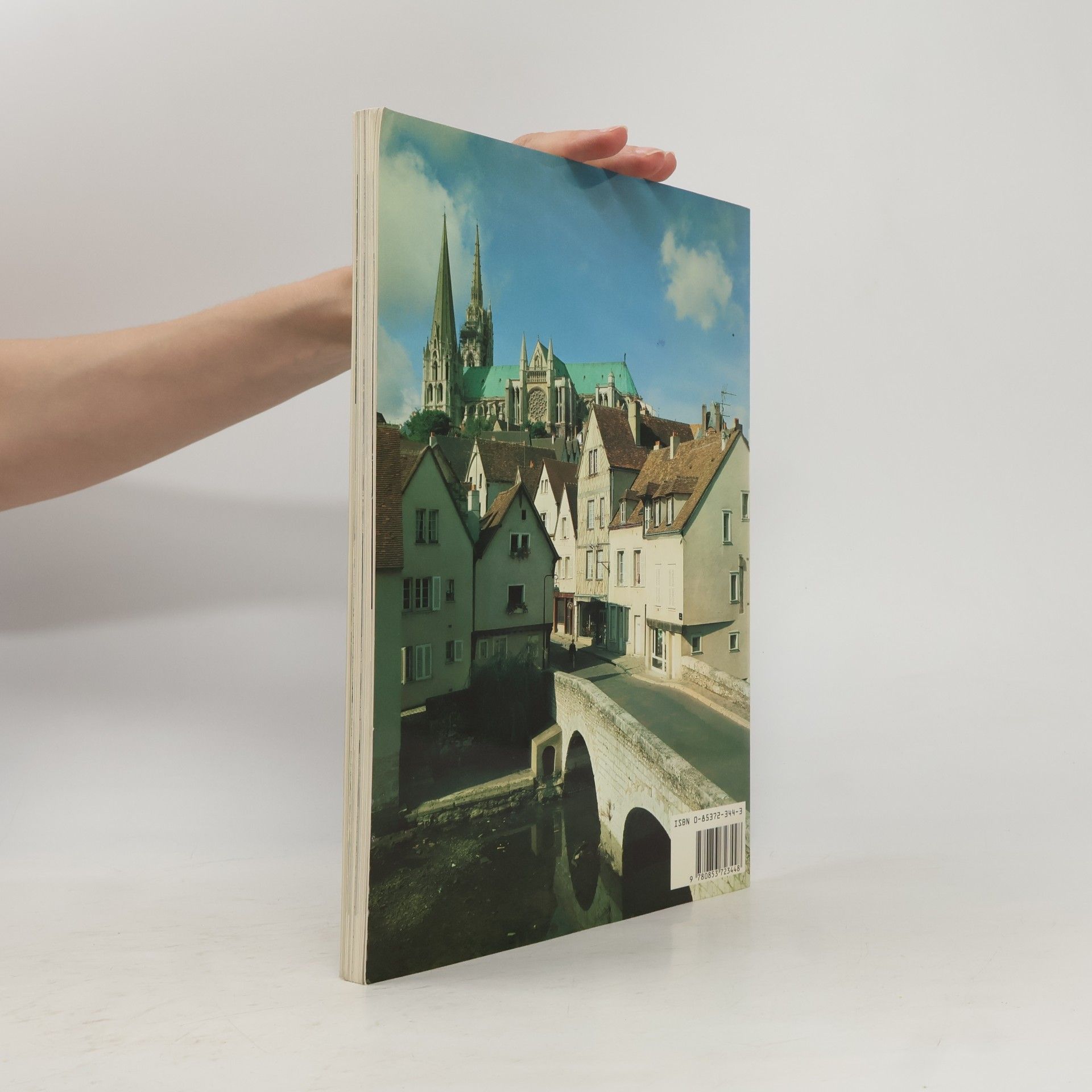 Malcolm Miller Die Kathedrale von Chartres