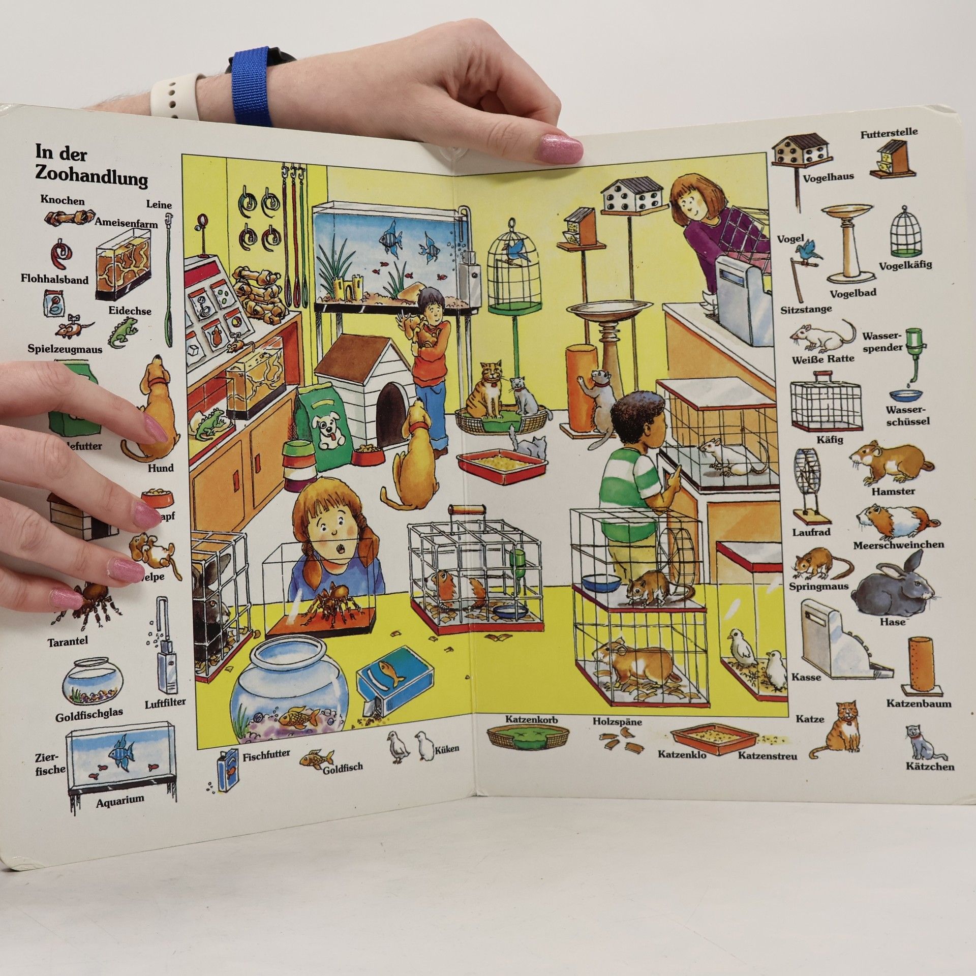 Autorenkollektiv Zu Hause und in der Stadt