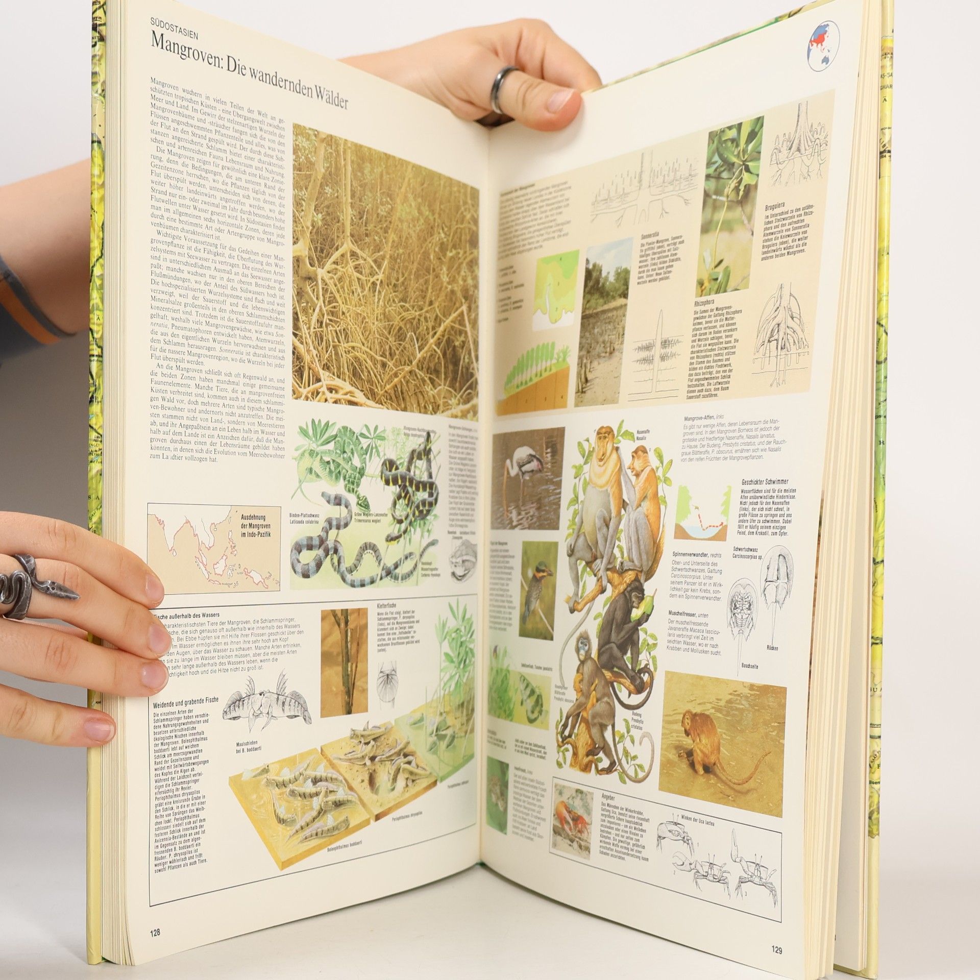 Hans-Heinrich Wellmann Grosser Atlas des Tierlebens