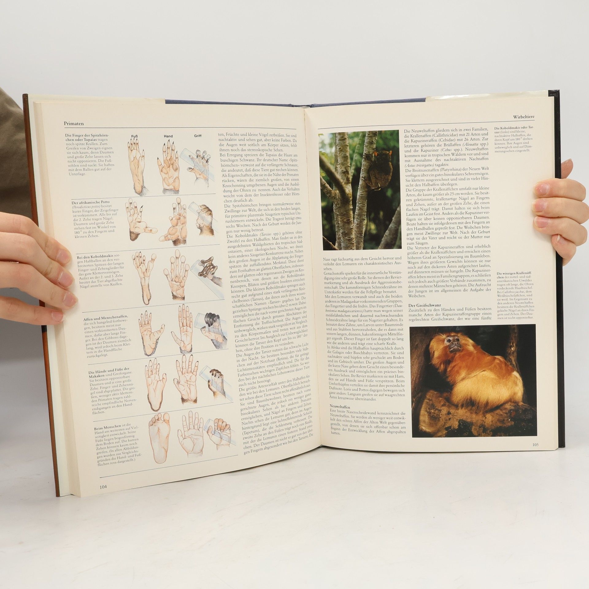 Dr. Martin Baehr Die Tiere