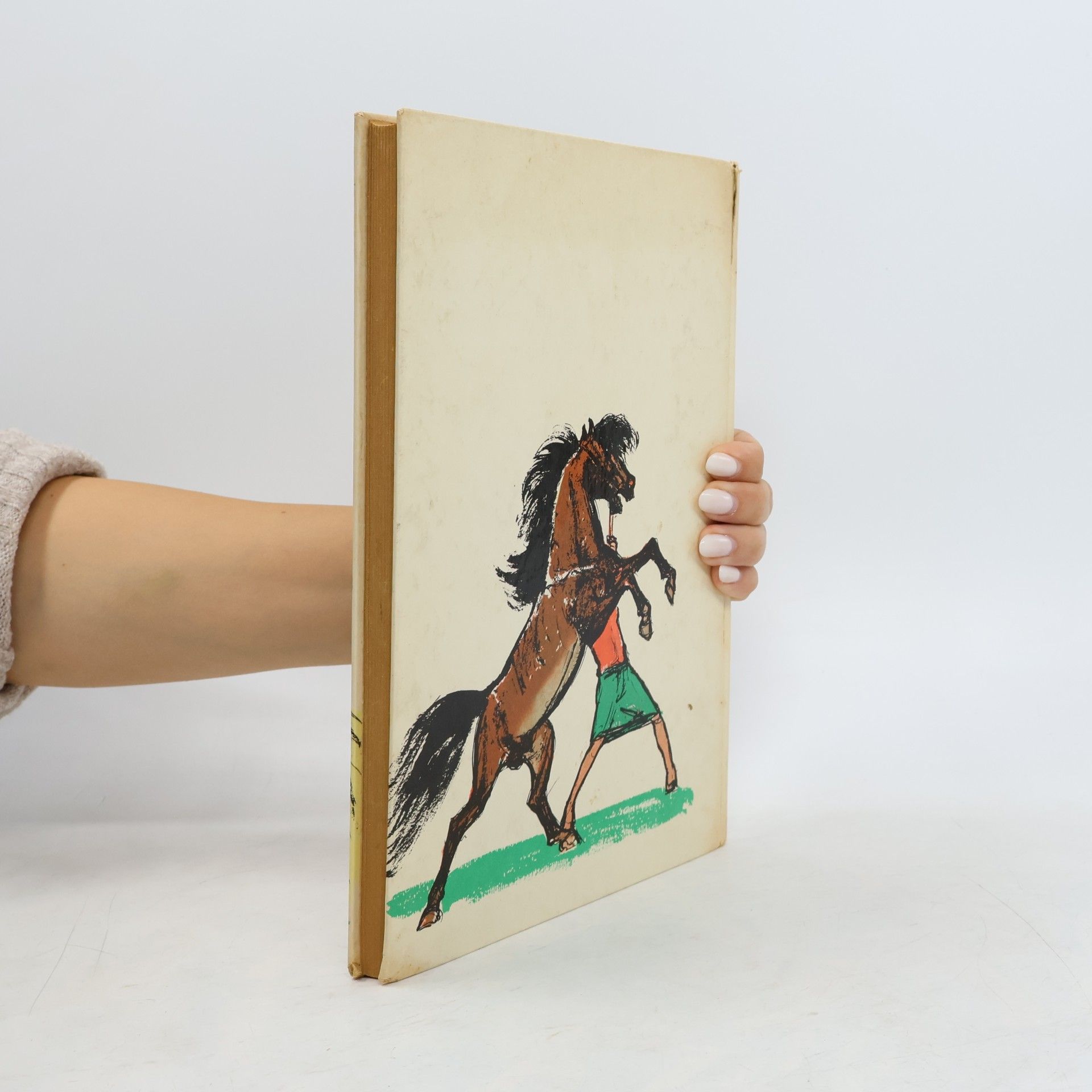 Erwin Strittmatter Pony Pedro