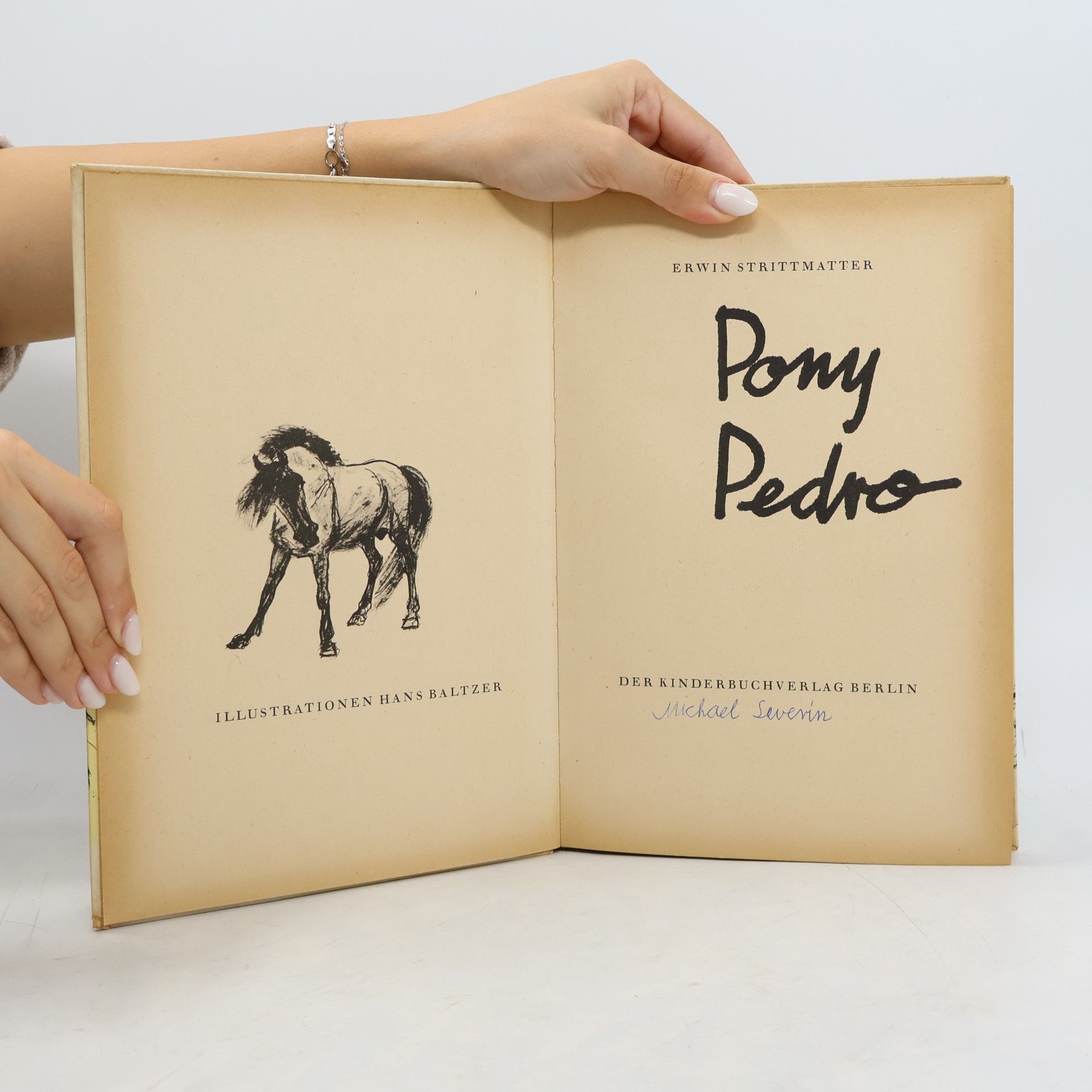 Erwin Strittmatter Pony Pedro