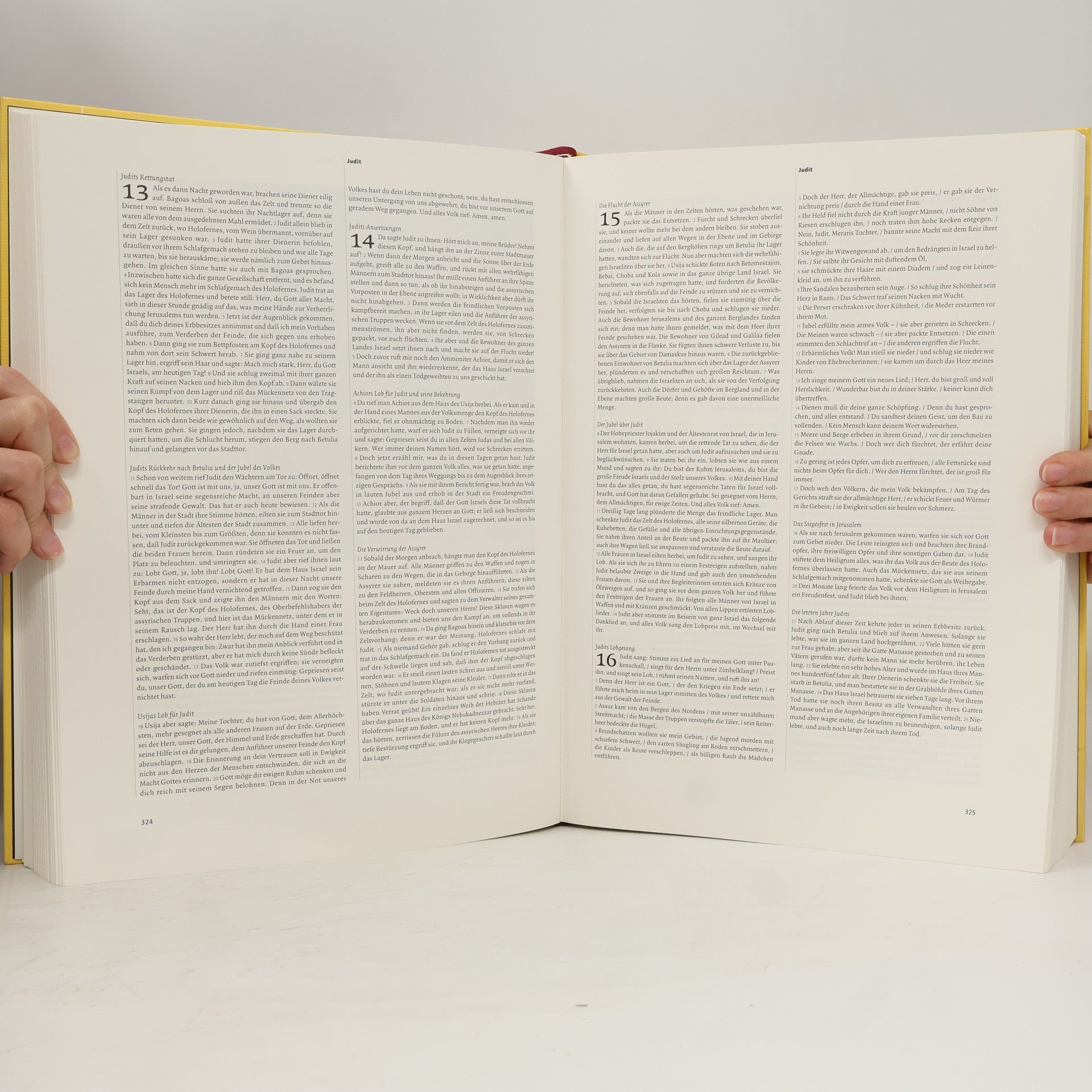 Christoph Wetzel Die Große Bibel der Moderne