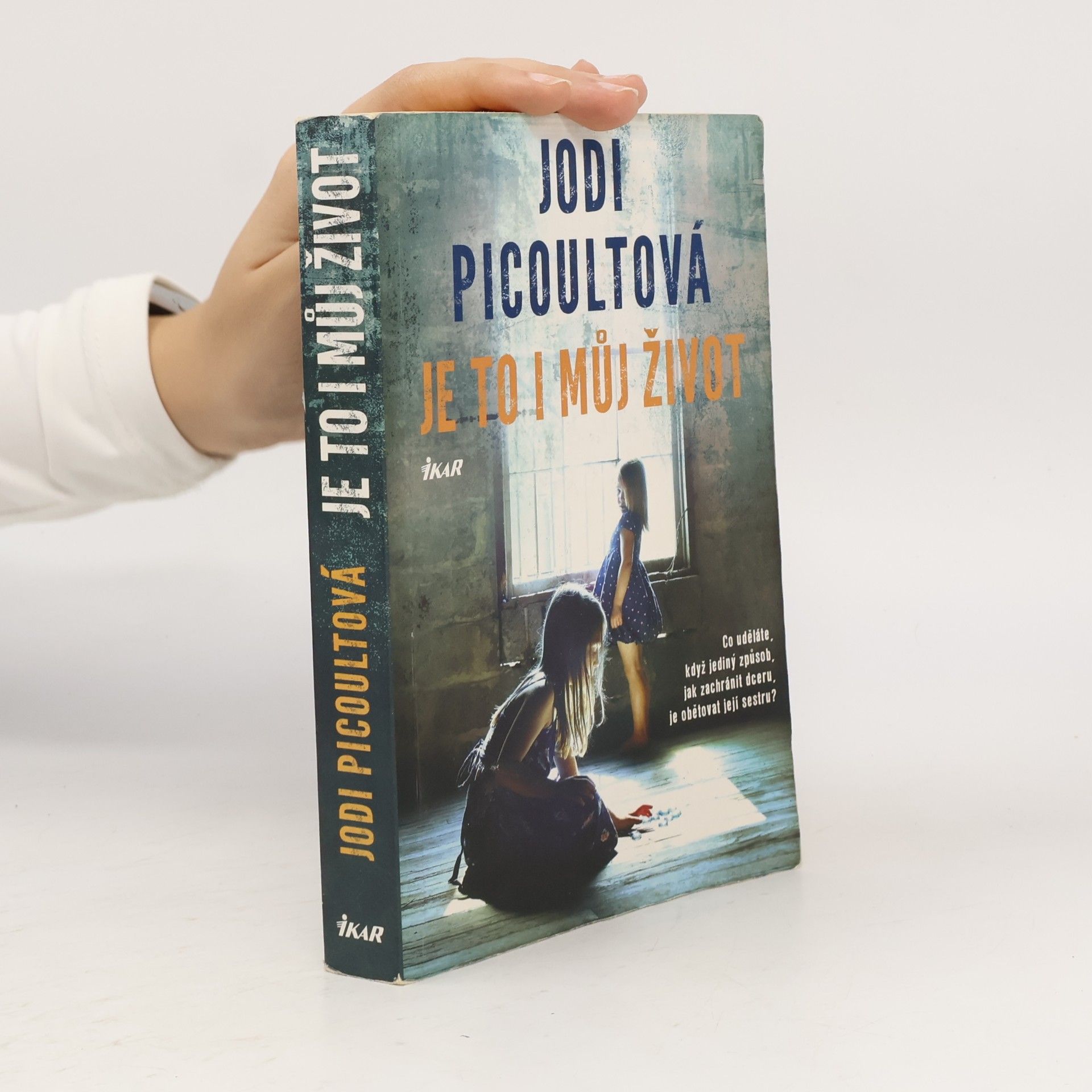 Jodi Picoult Je to i můj život