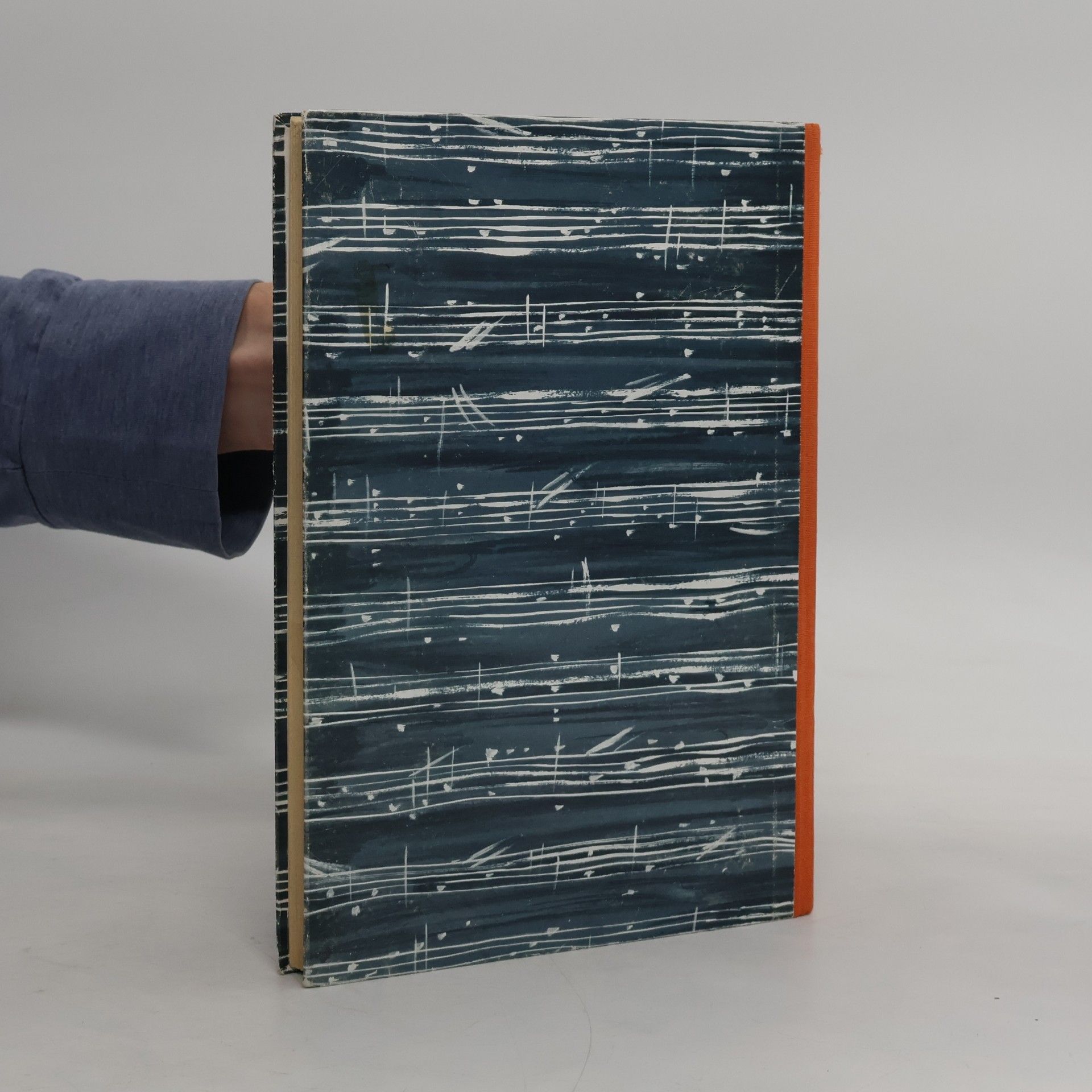 kolektiv Bayerisches Liederbuch