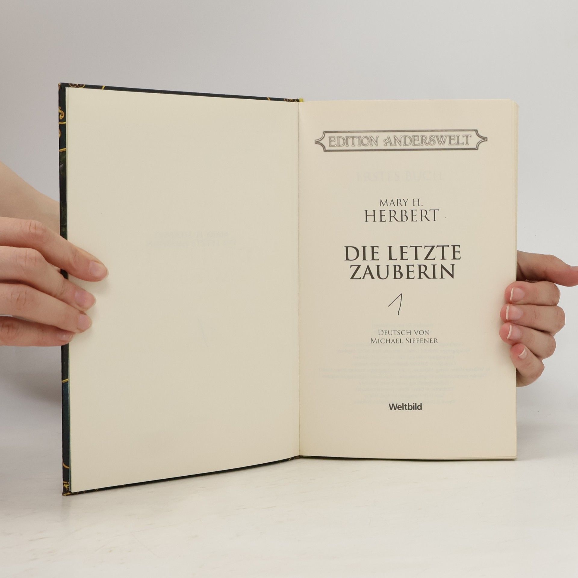 Mary H. Herbert Die letzte Zauberin