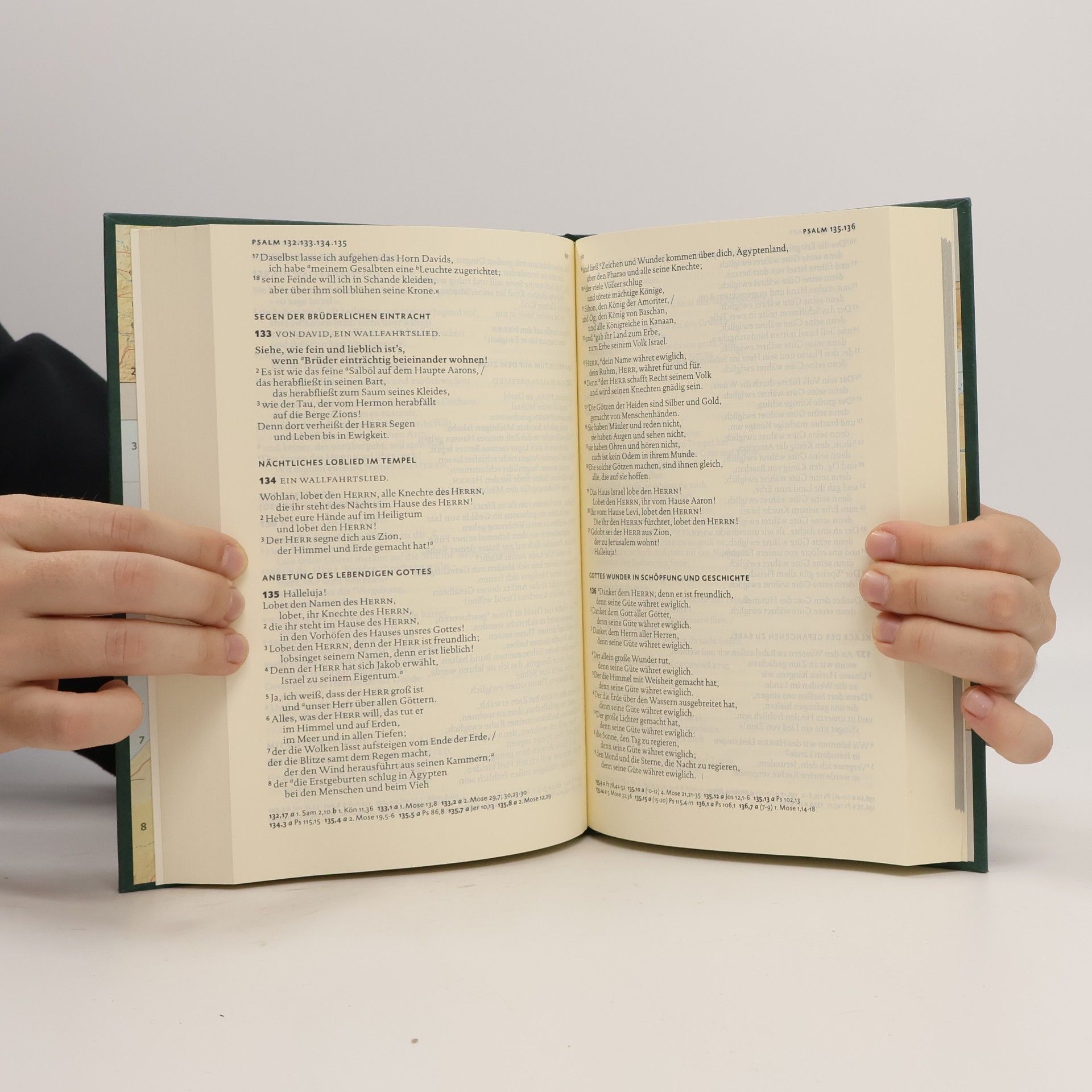 Die Bibel, Lutherübersetzung revidiert 2017, Standardausgabe grün