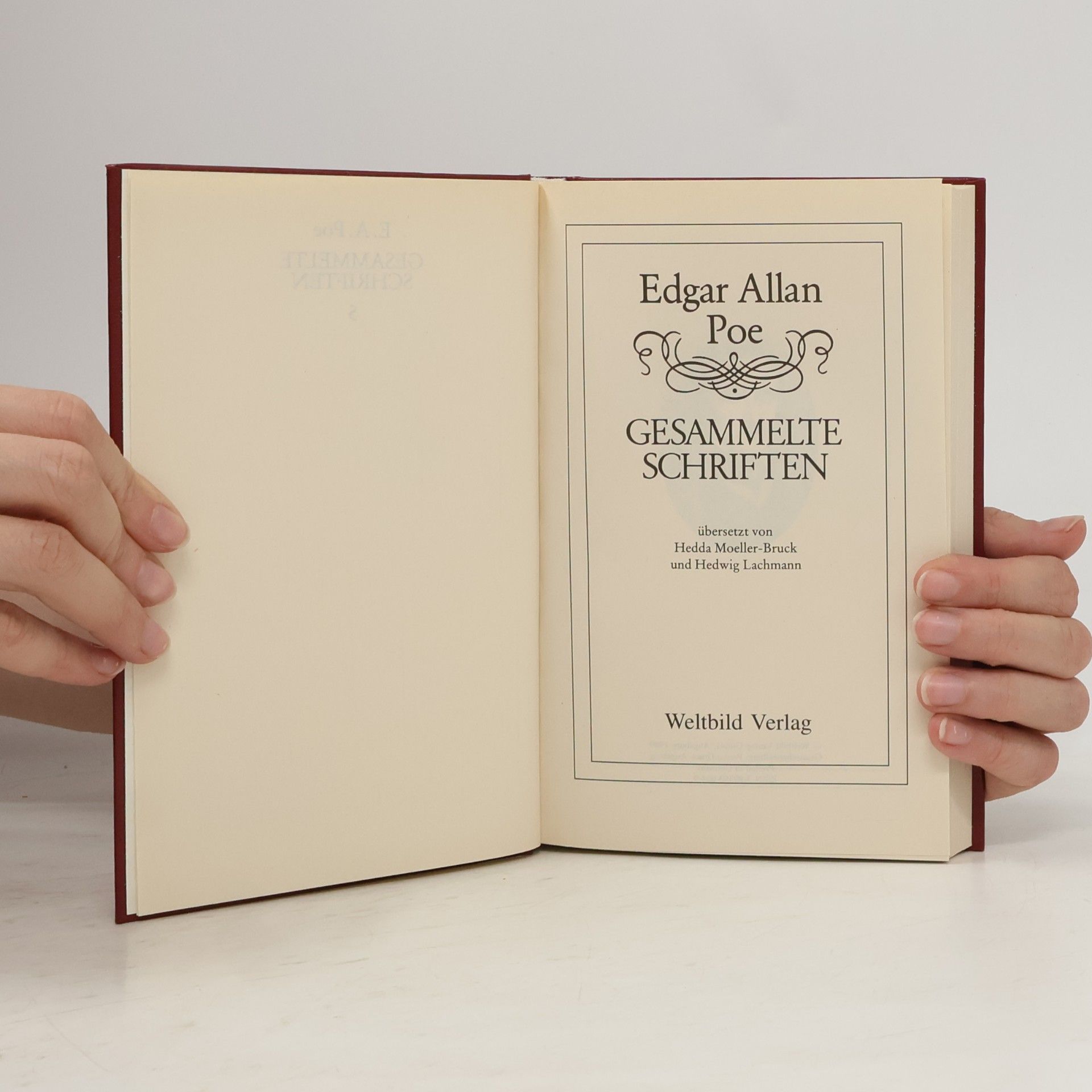 Edgar Allan Poe Gesammelte Schriften 5