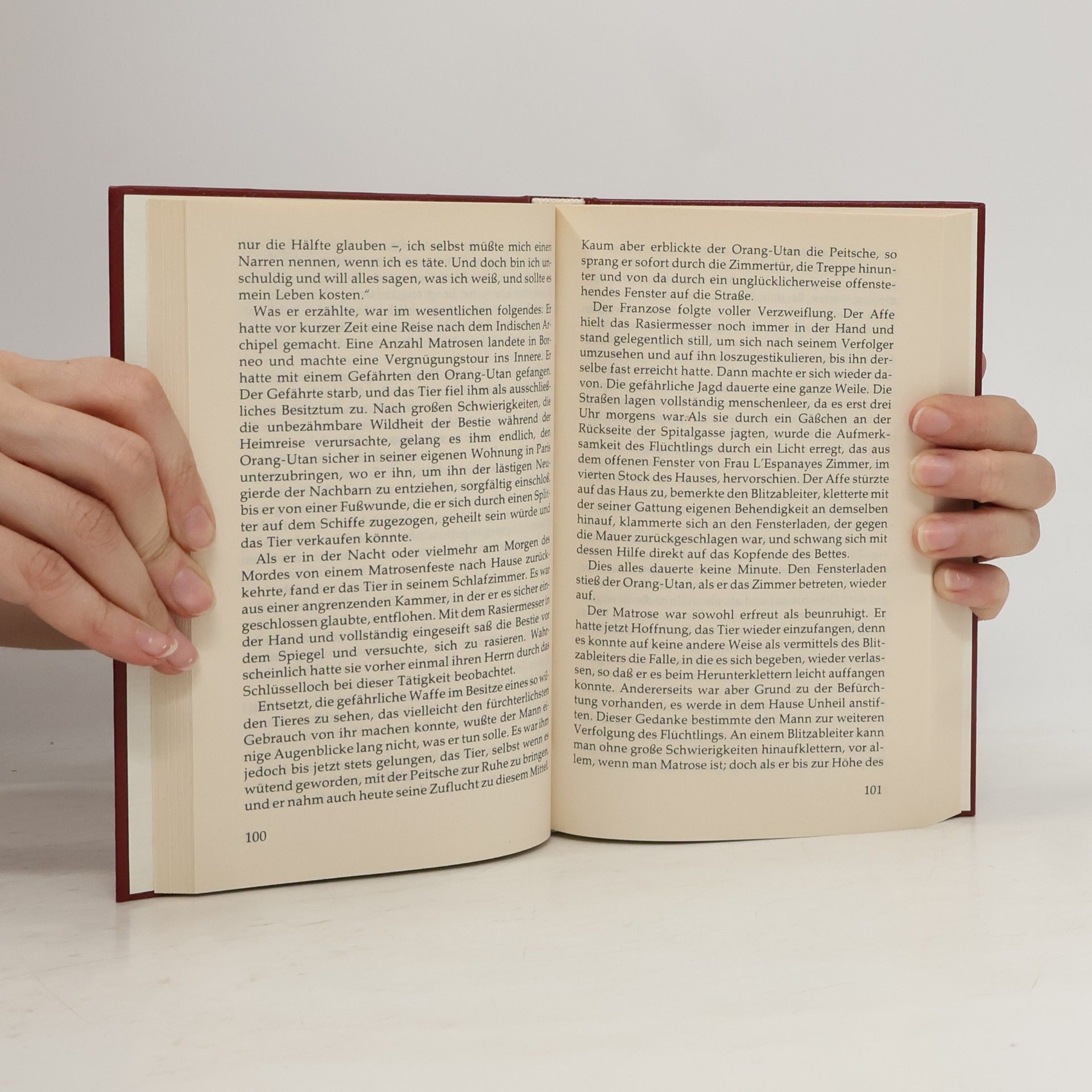 Edgar Allan Poe Gesammelte Schriften 3