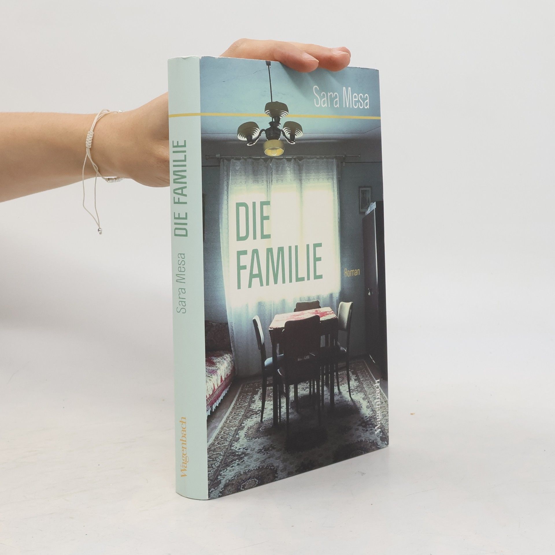 Sara Mesa Die Familie
