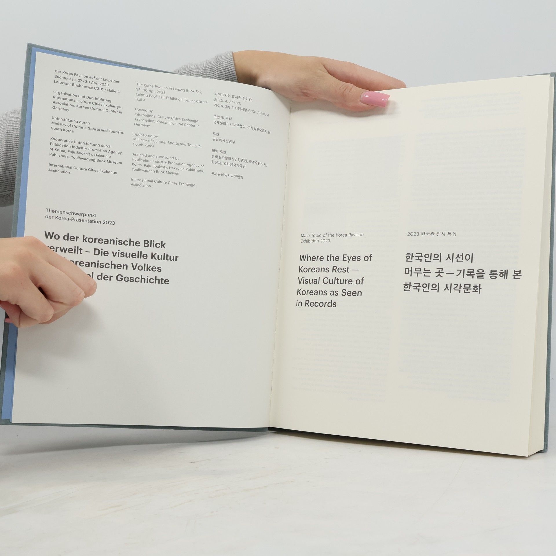 Kolektiv autorů Wo der koreanische Blick verweilt / Where the Eyes of Koreans Rest / 한국인의 시선이 머무는 곳