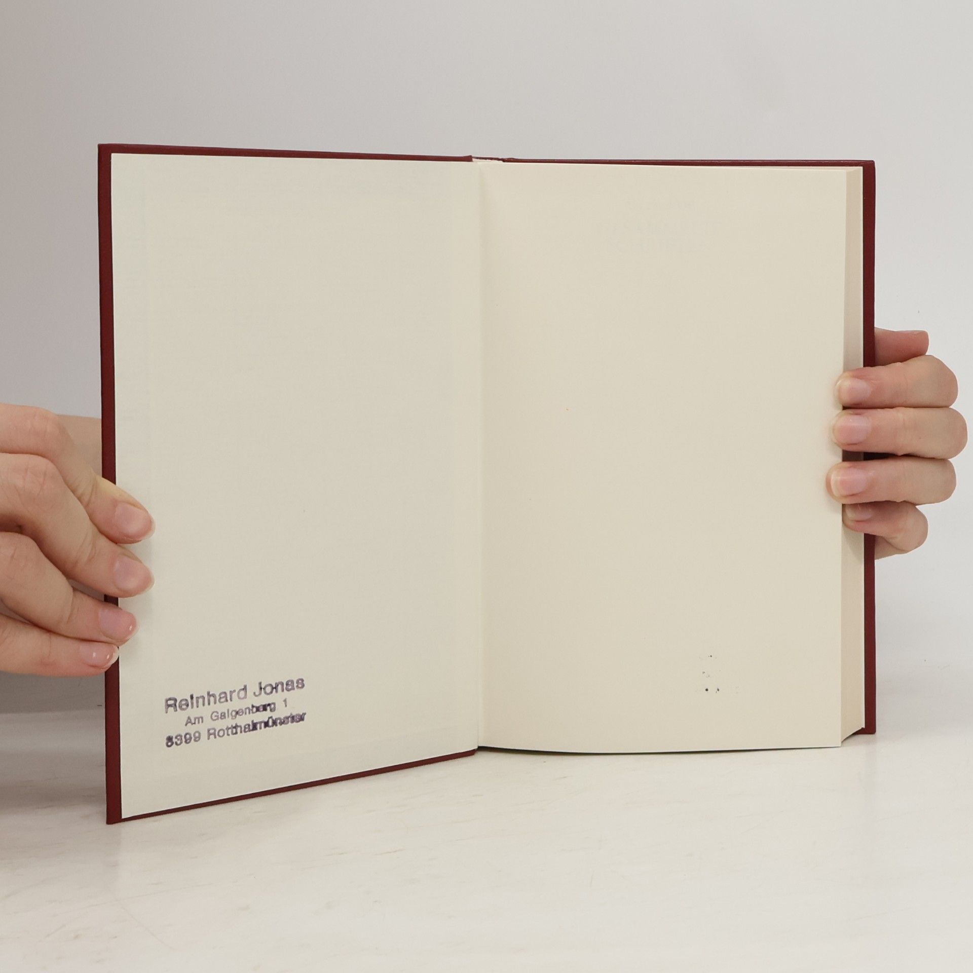 Edgar Allan Poe Gesammelte Schriften 4