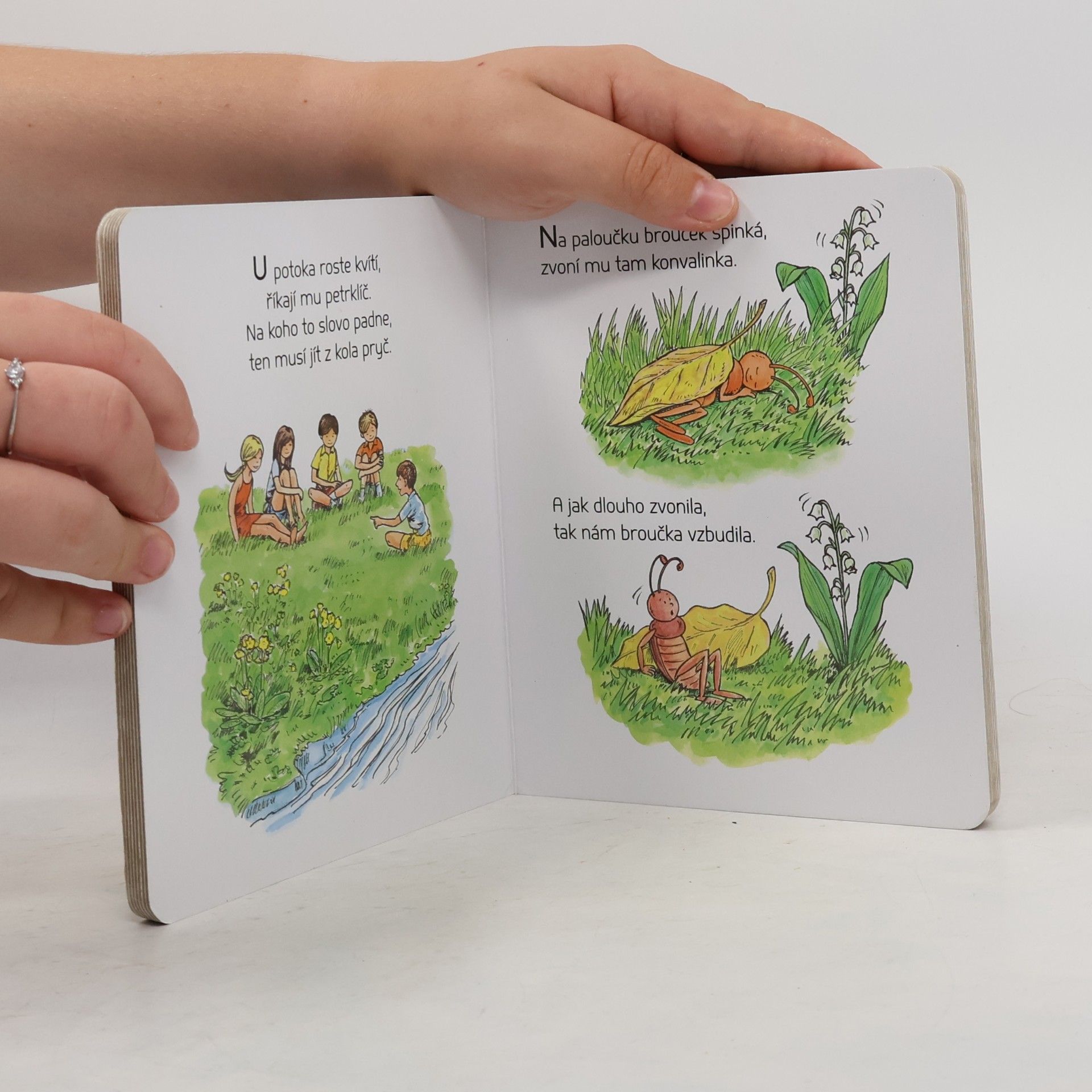 Autorenkollektiv Běží liška k Táboru - Lidové říkanky