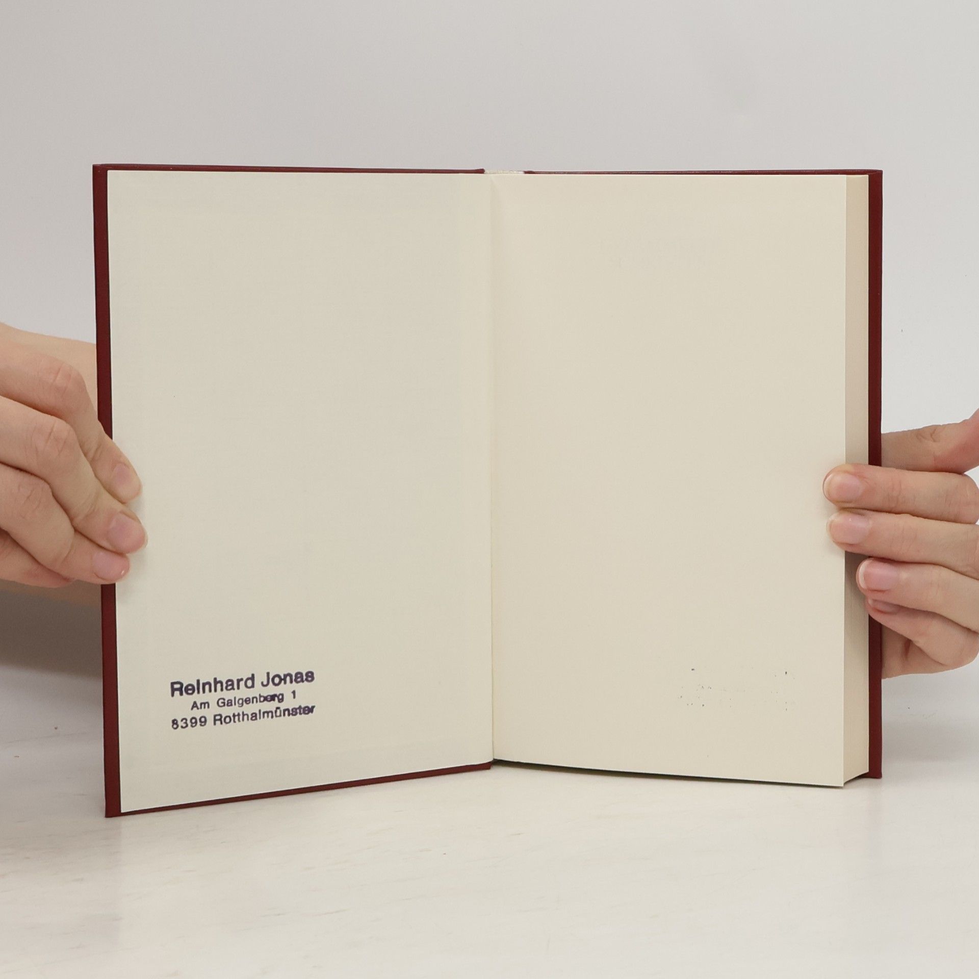 Edgar Allan Poe Gesammelte Schriften 2
