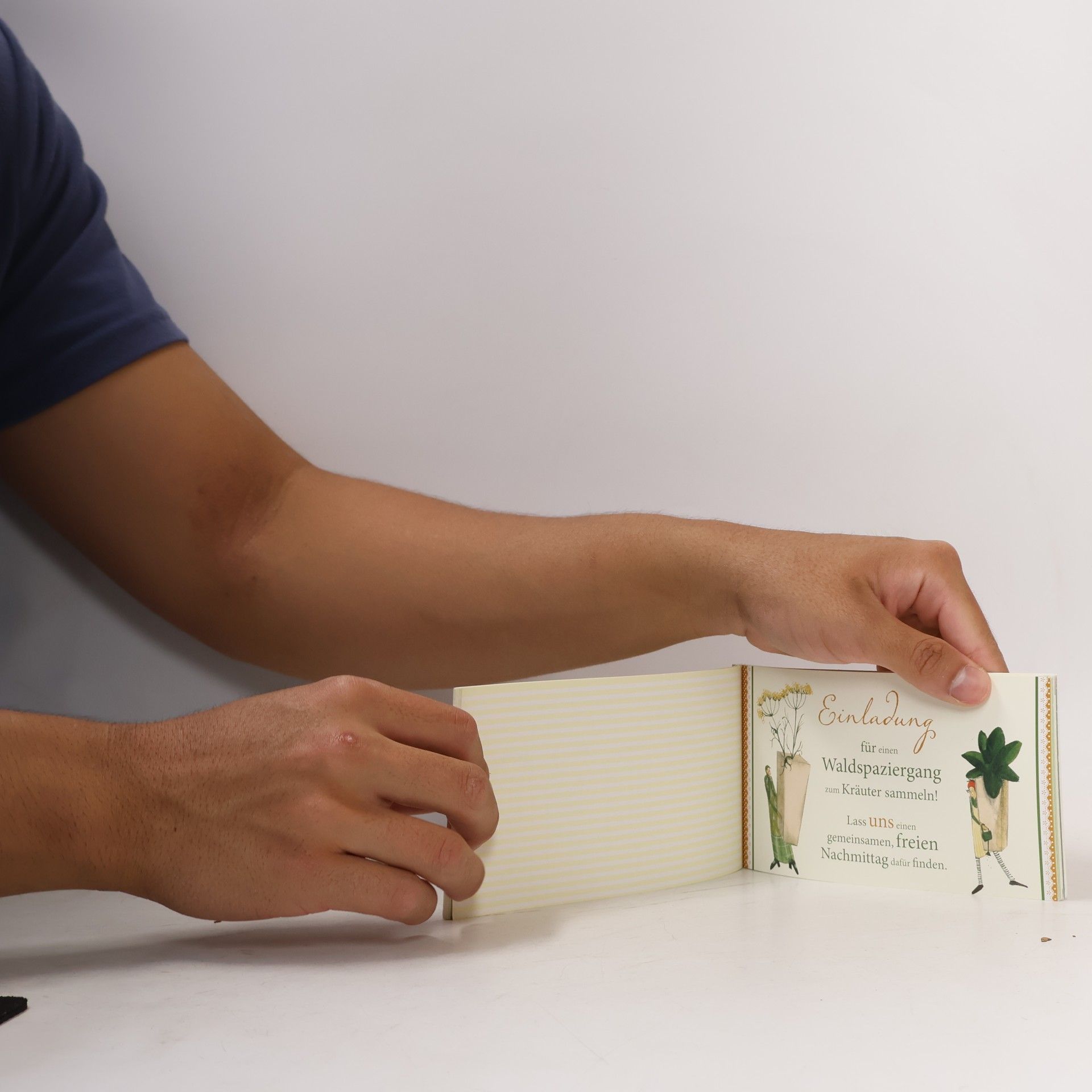 Kräuterbuch: Geschenkbüchlein: Wissenwertes, Rezepte und kreative Ideen auf 24 Seiten