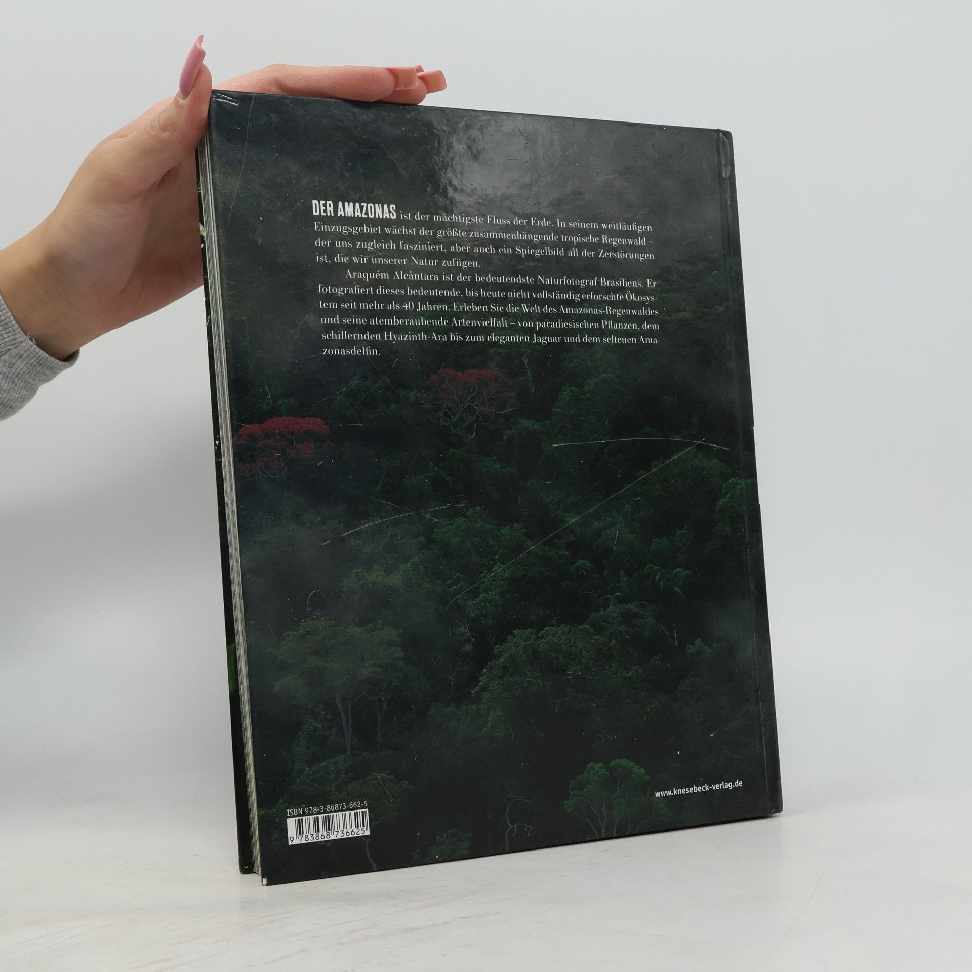 Thierry Piantanida Amazonia