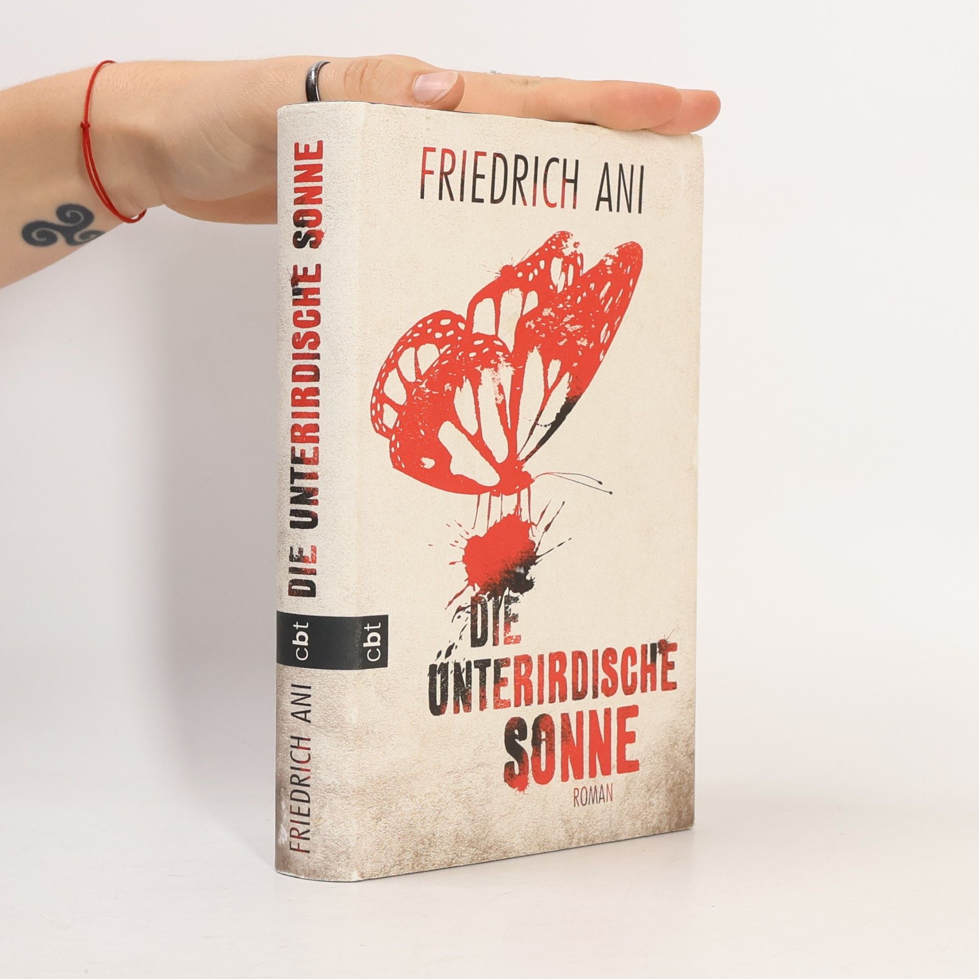 Friedrich Ani Die unterirdische Sonne