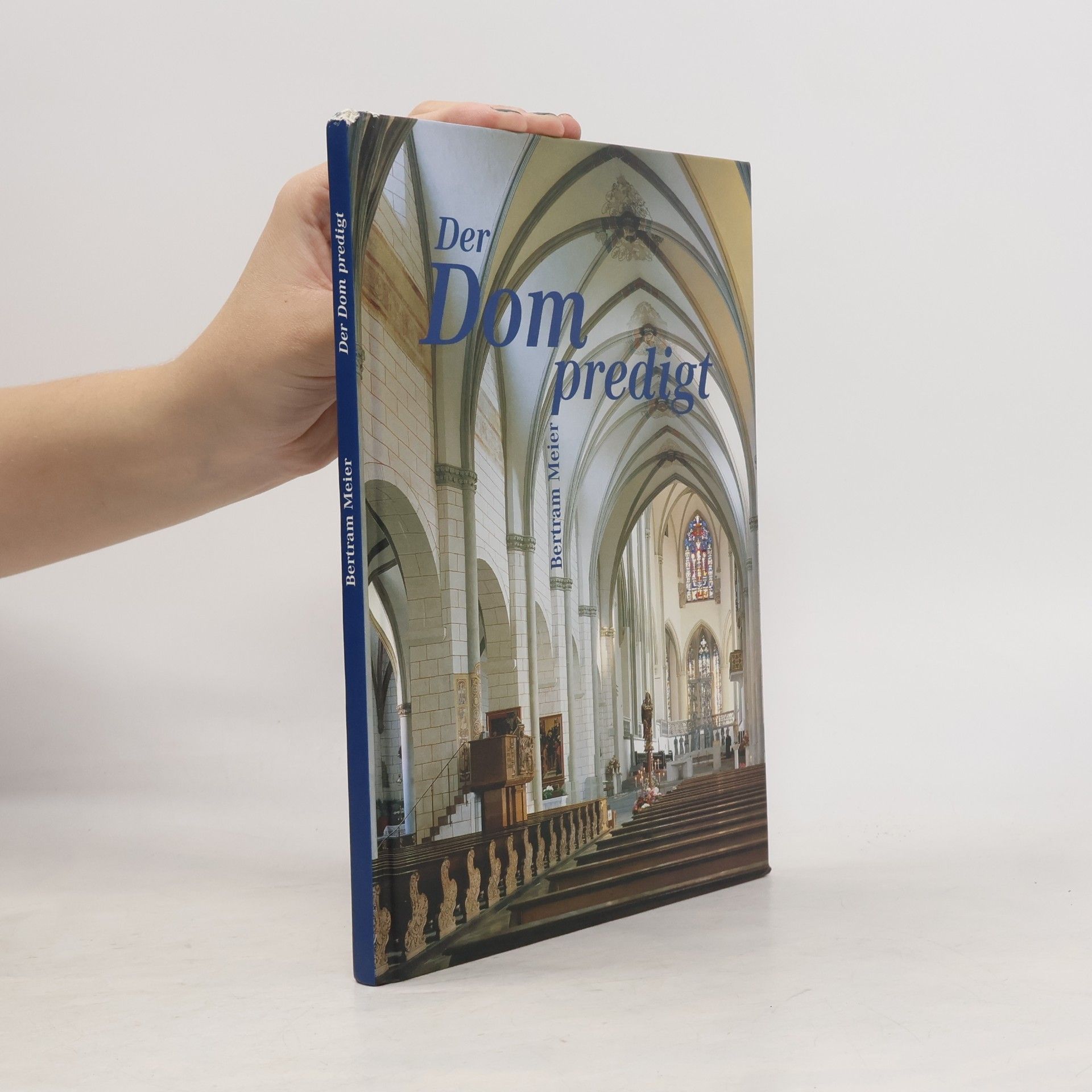 Der Dom predigt