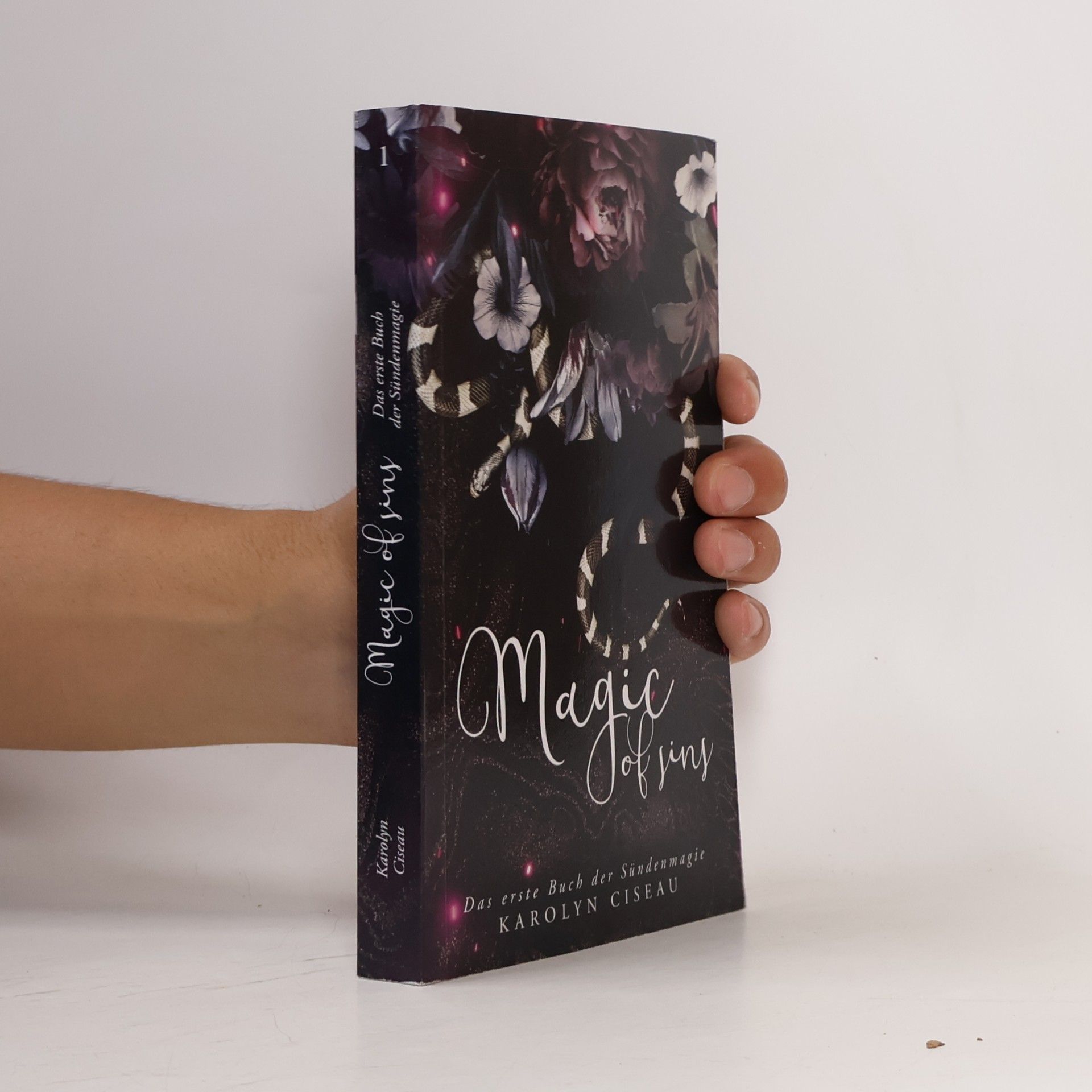 Karolyn Ciseau Magic of Sins - Das erste Buch der Sündenmagie