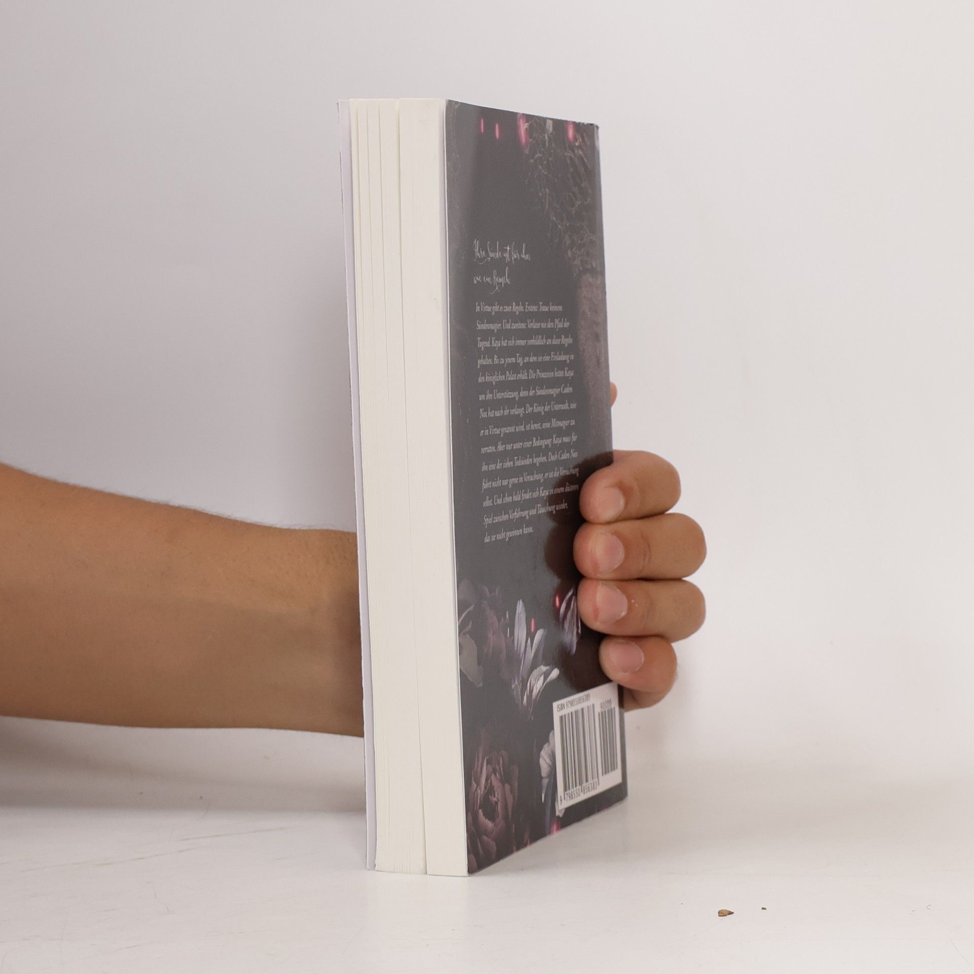 Karolyn Ciseau Magic of Sins - Das erste Buch der Sündenmagie