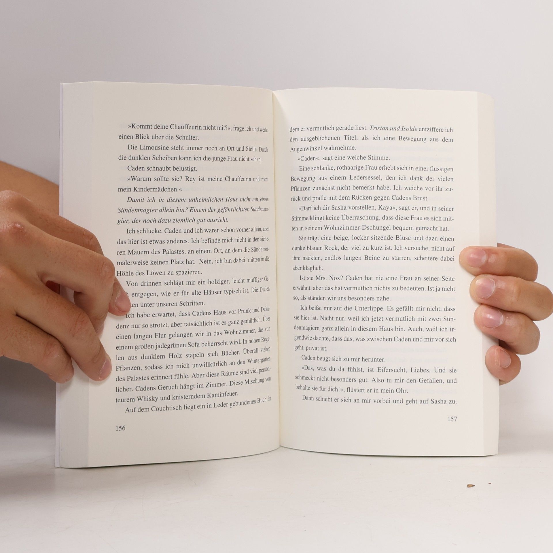 Karolyn Ciseau Magic of Sins - Das erste Buch der Sündenmagie