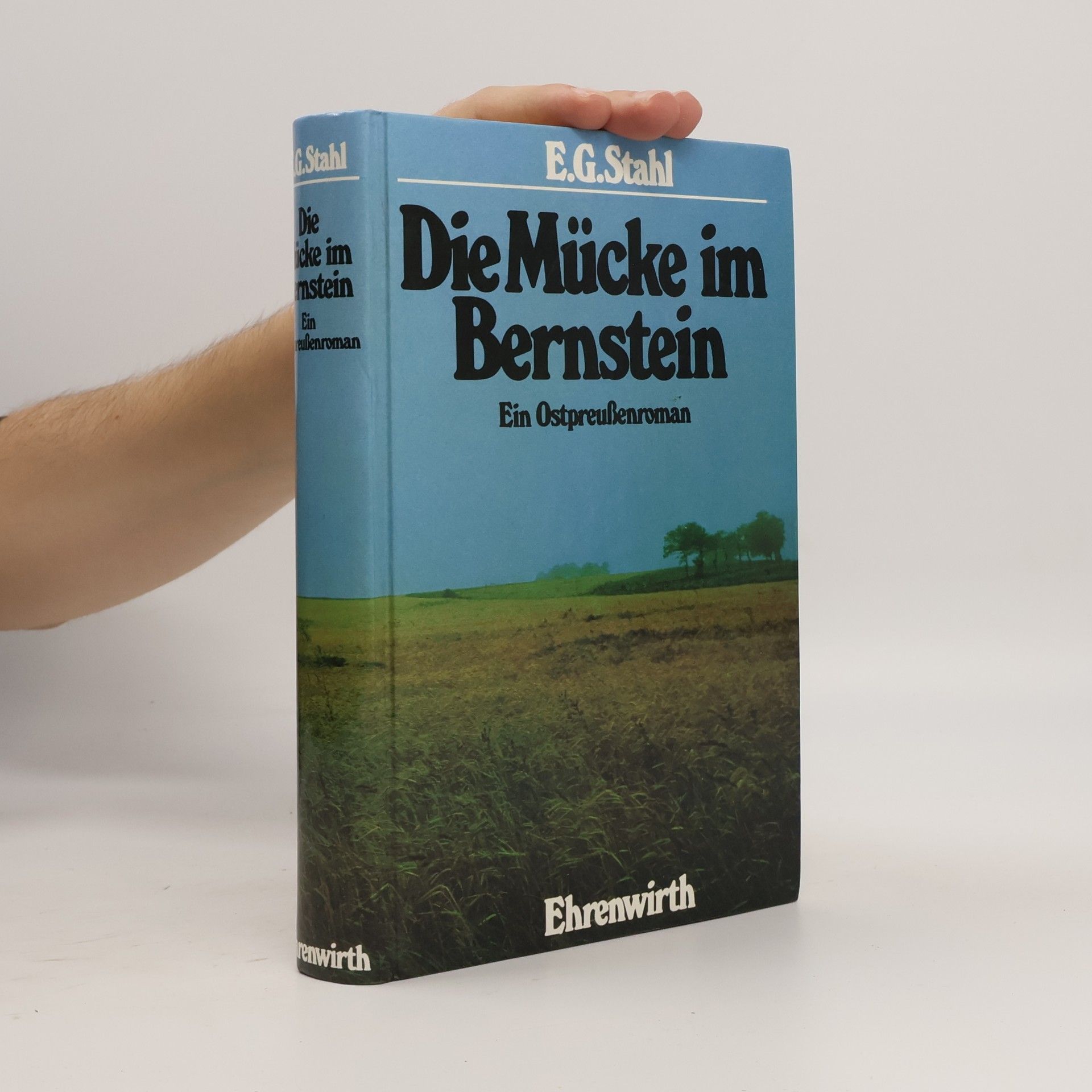Die Mücke im Bernstein