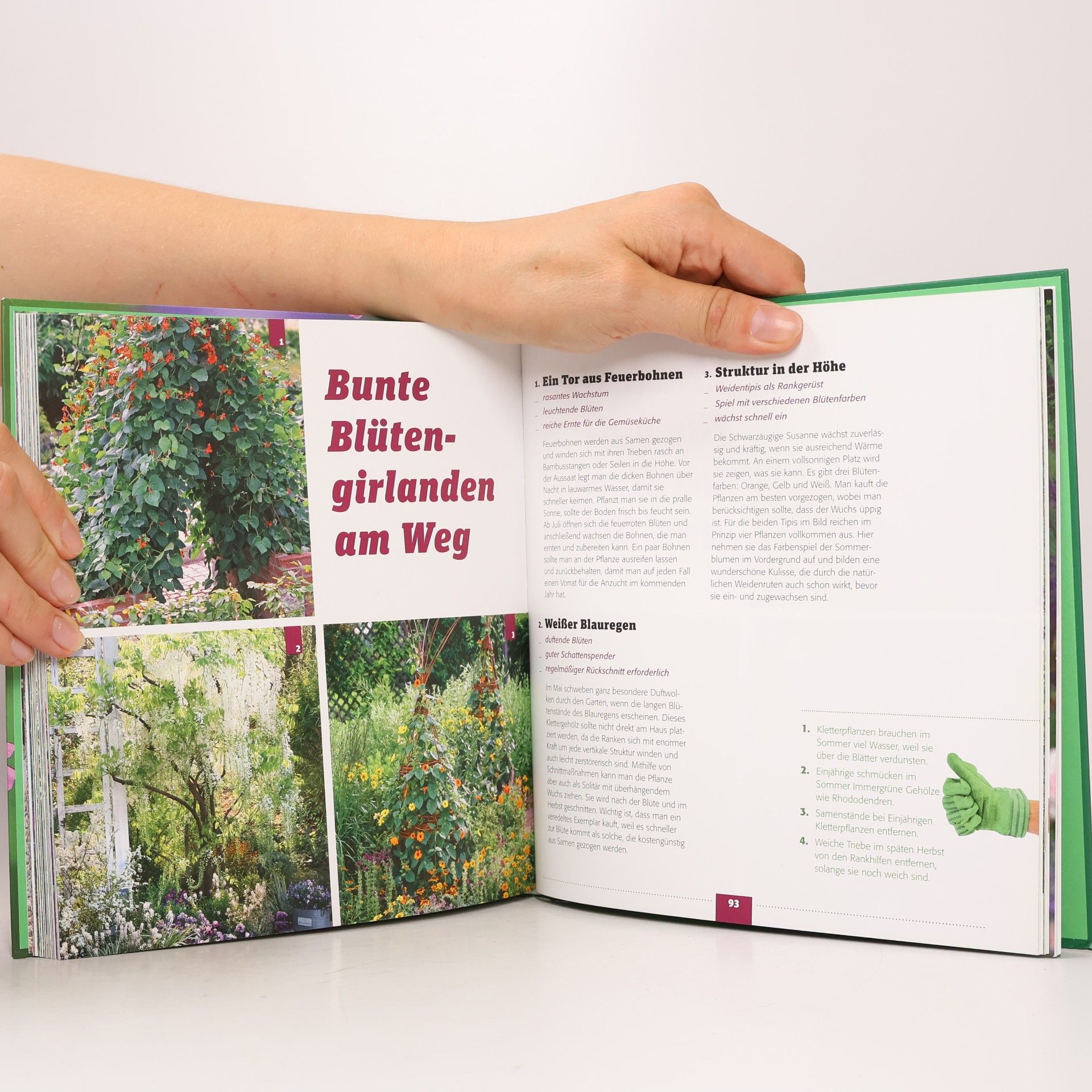 Dorothée Waechter Blumen-Gärtnern
