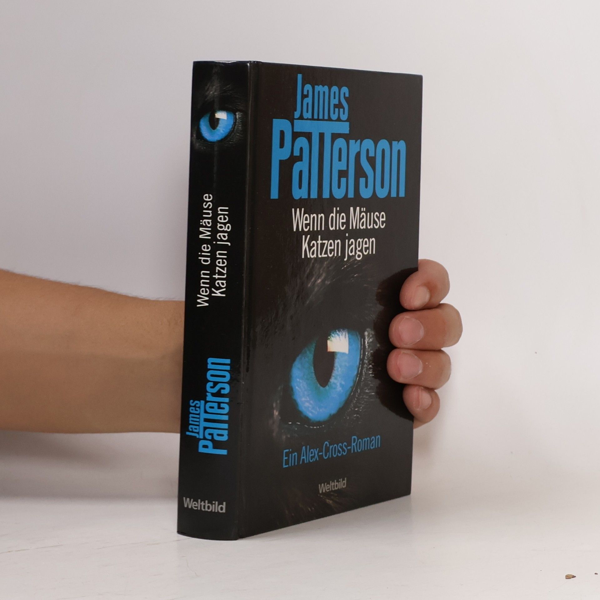 James Patterson Wenn die Mäuse Katzen jagen