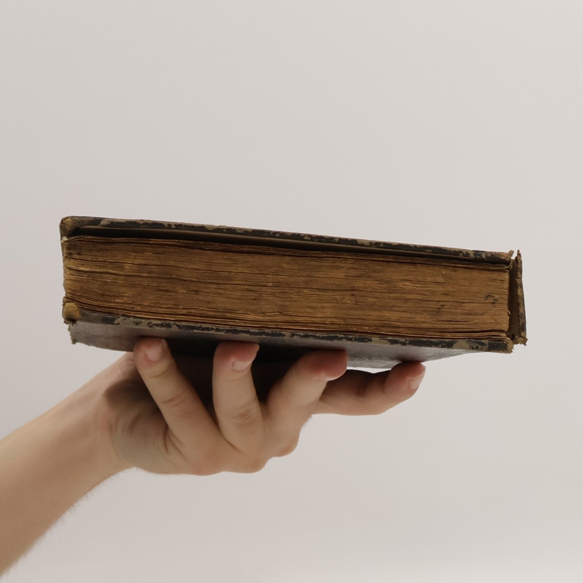 Johann Friedrich Stark Tägliches Handbuch in guten und bösen Tagen