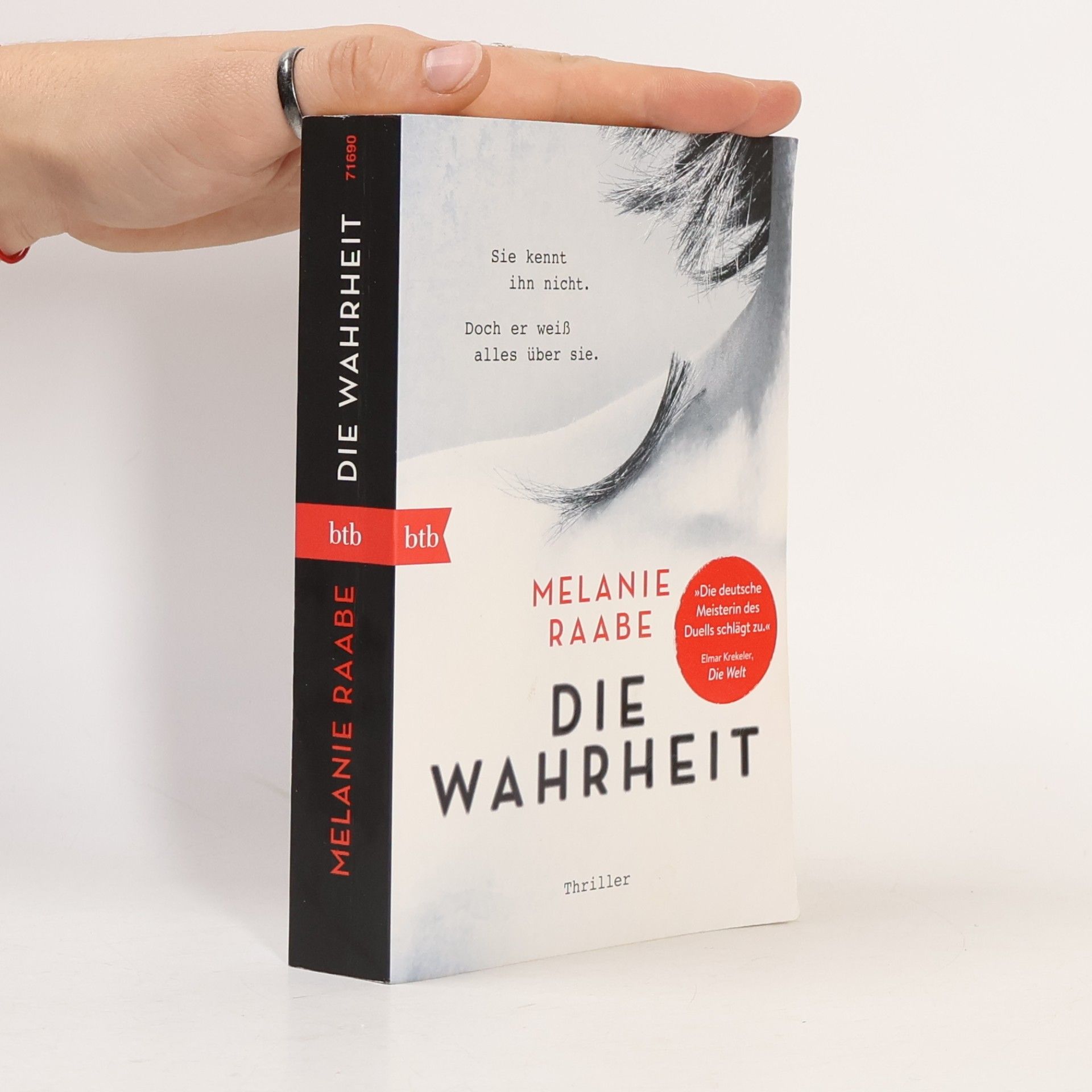 Melanie Raabe Die Wahrheit
