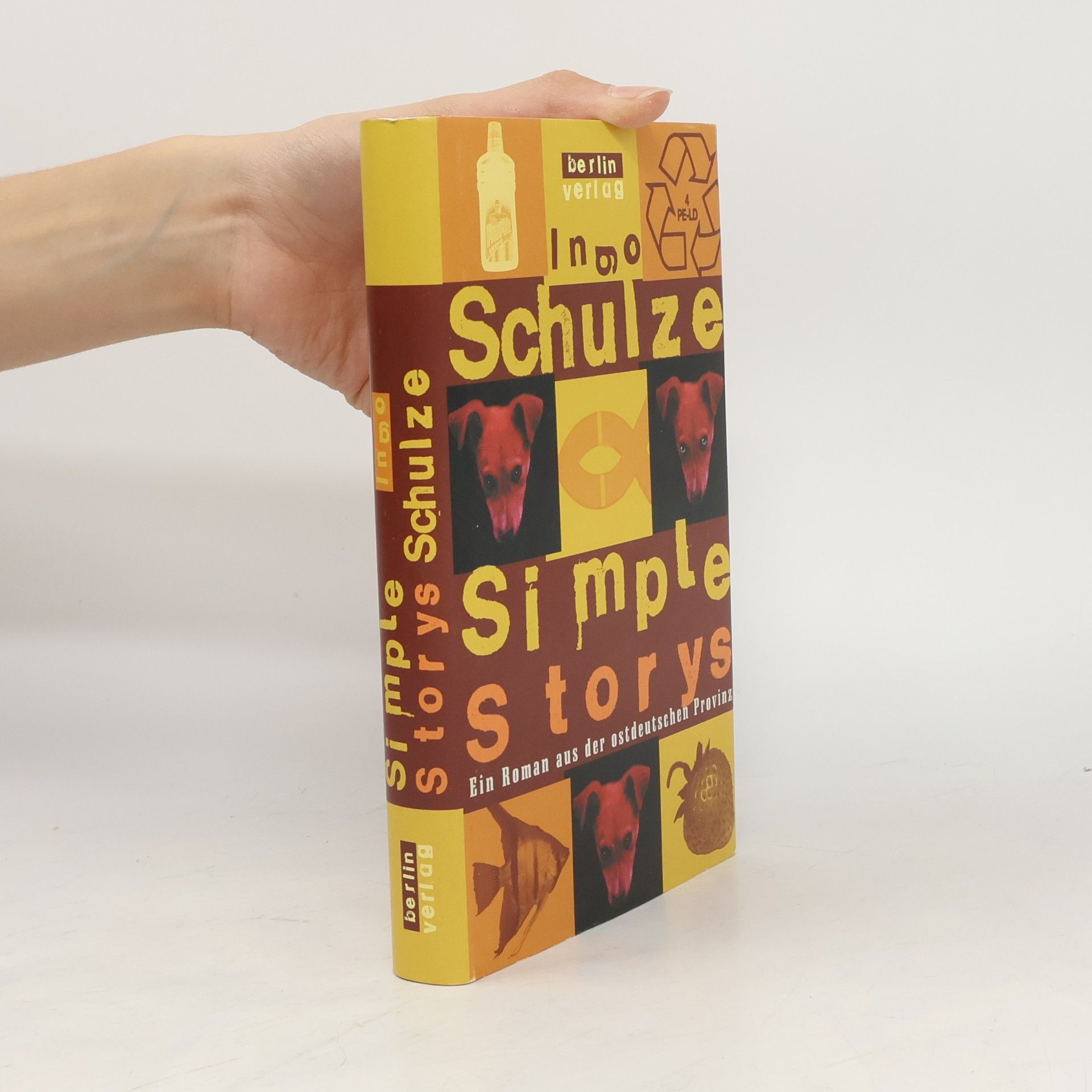 Ingo Schulze Simple Storys