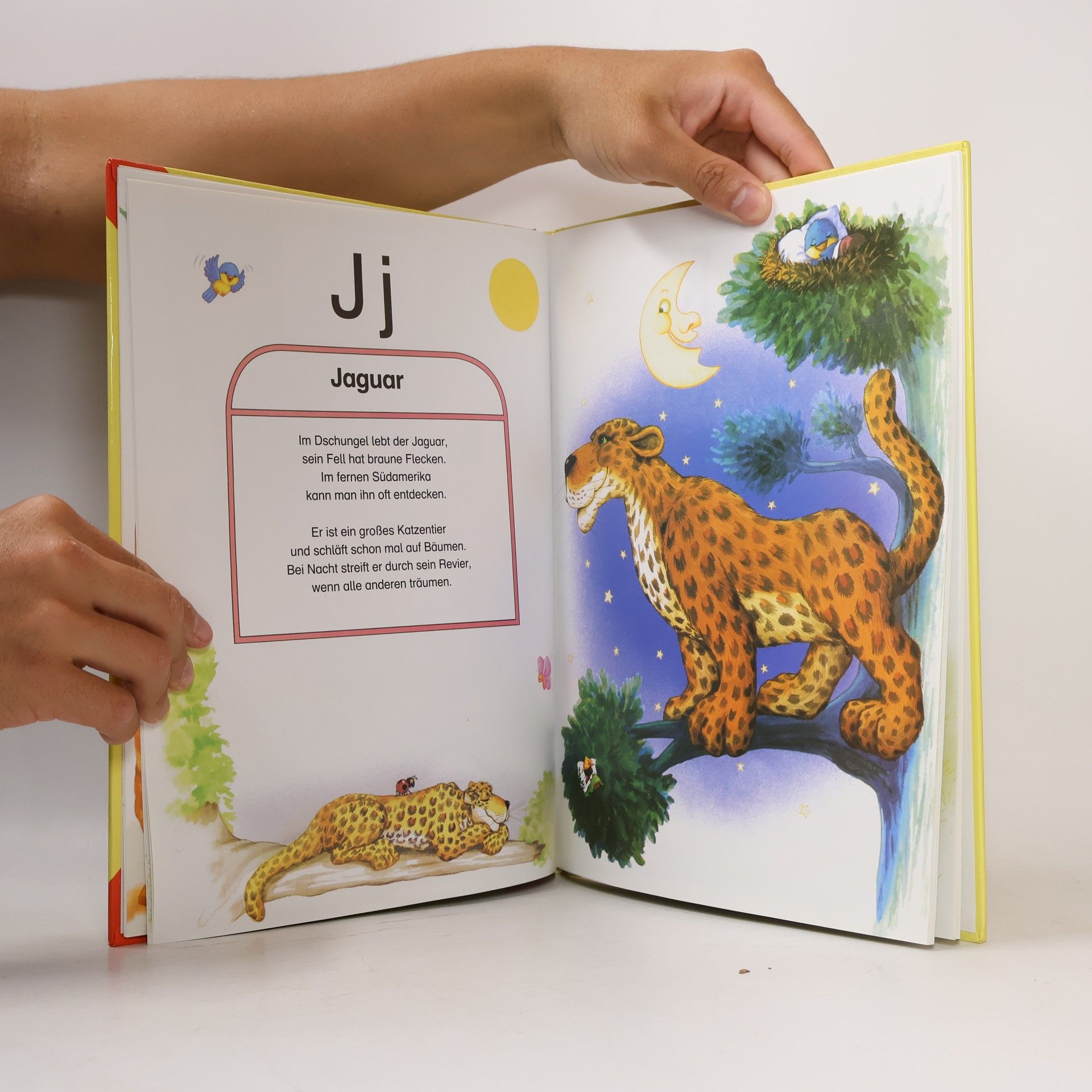 Gill Guile Das Alphabet mit Tieren