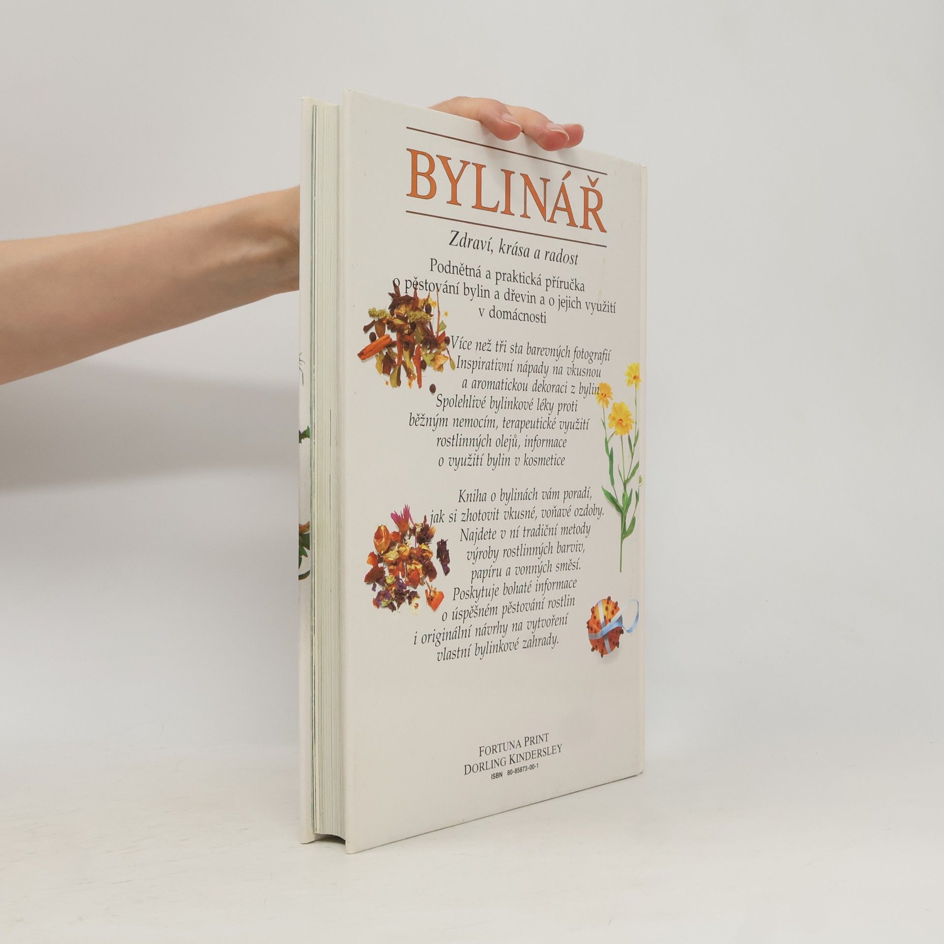 Various authors Bylinář : Zdraví, krása, radost