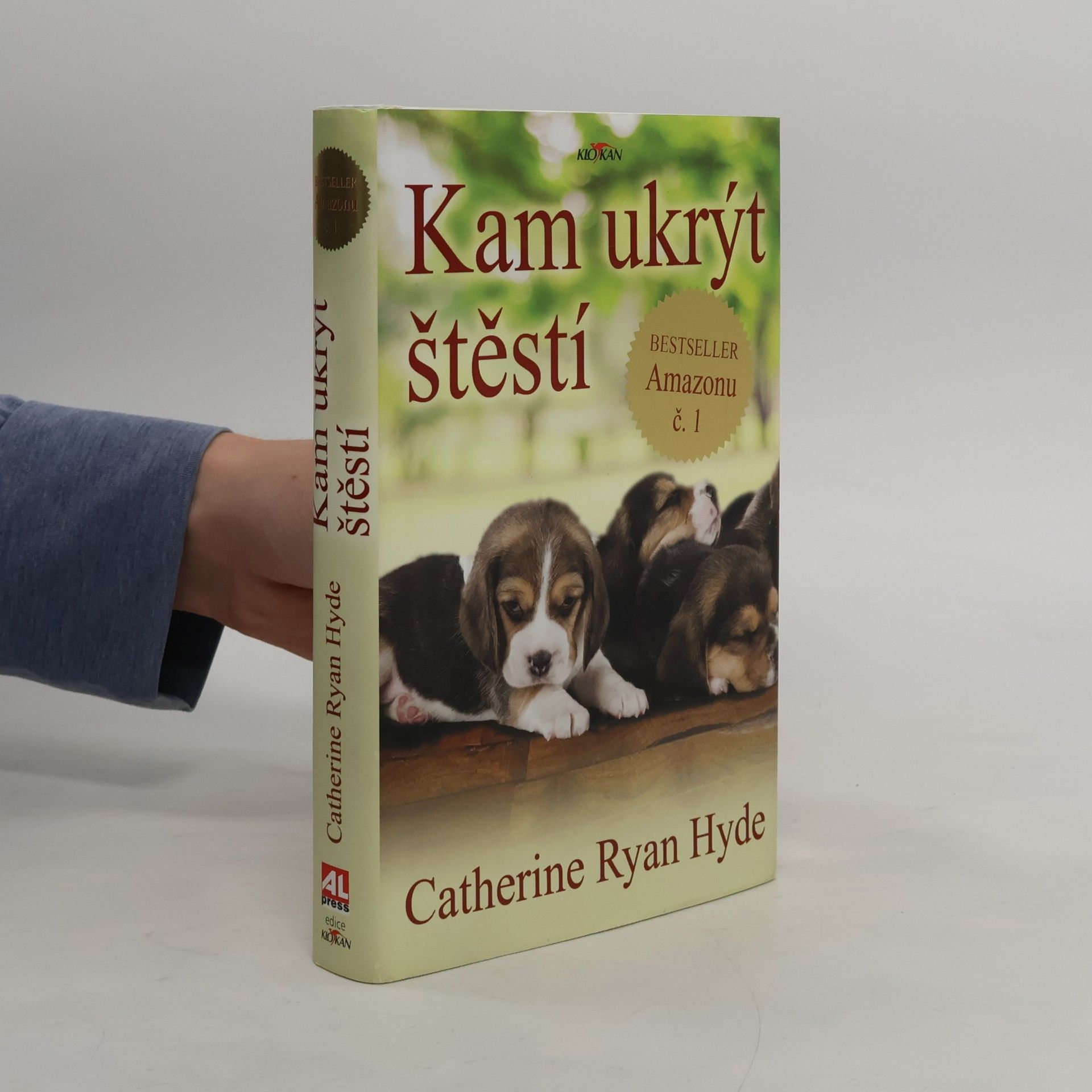 Catherine Ryan Hyde Kam ukrýt štěstí