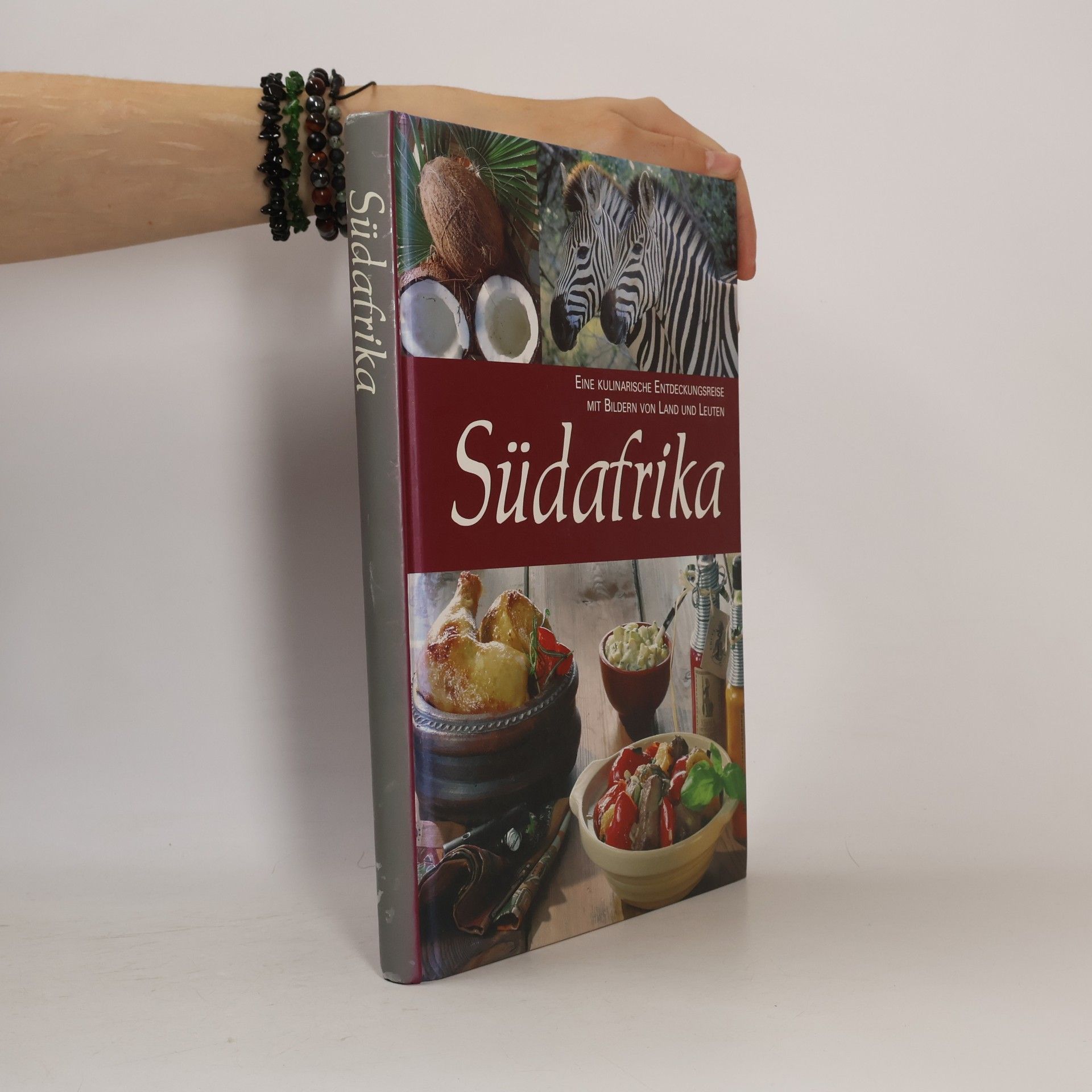 Kolektiv autorů Südafrika