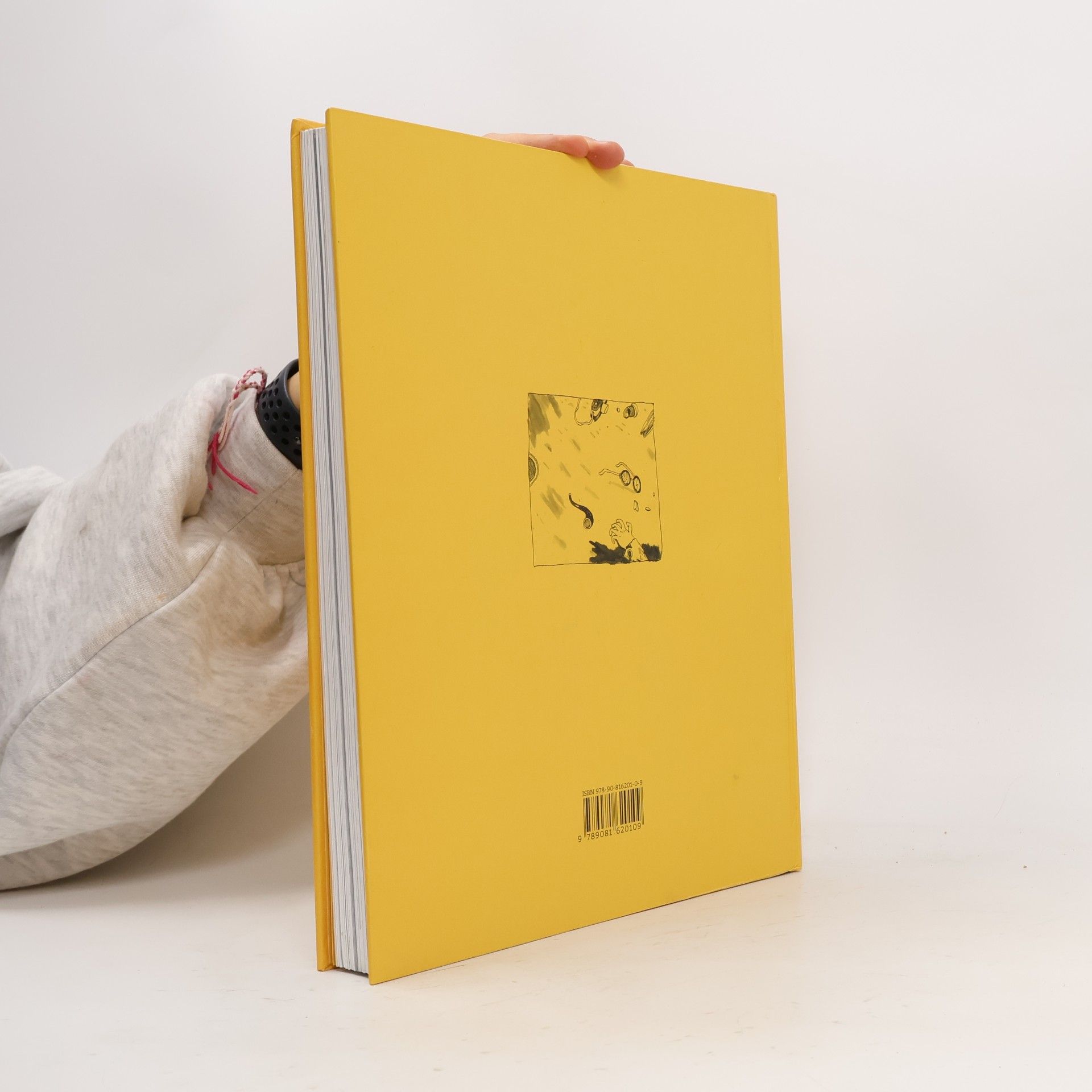 Agata Wawryniuk Comixiade. The Book