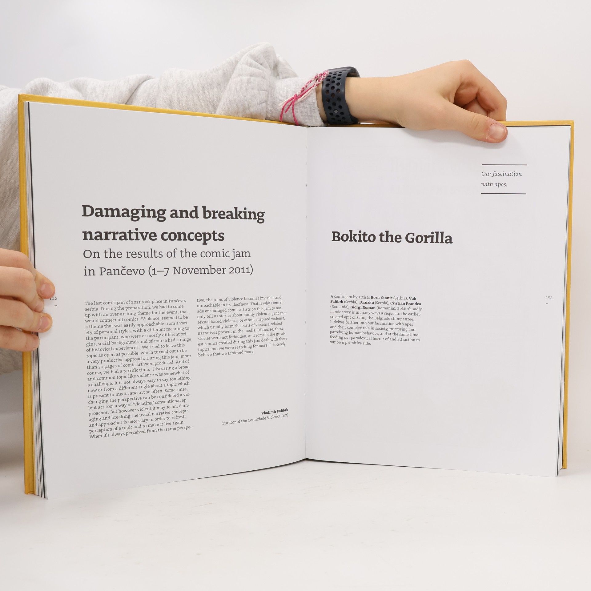 Agata Wawryniuk Comixiade. The Book