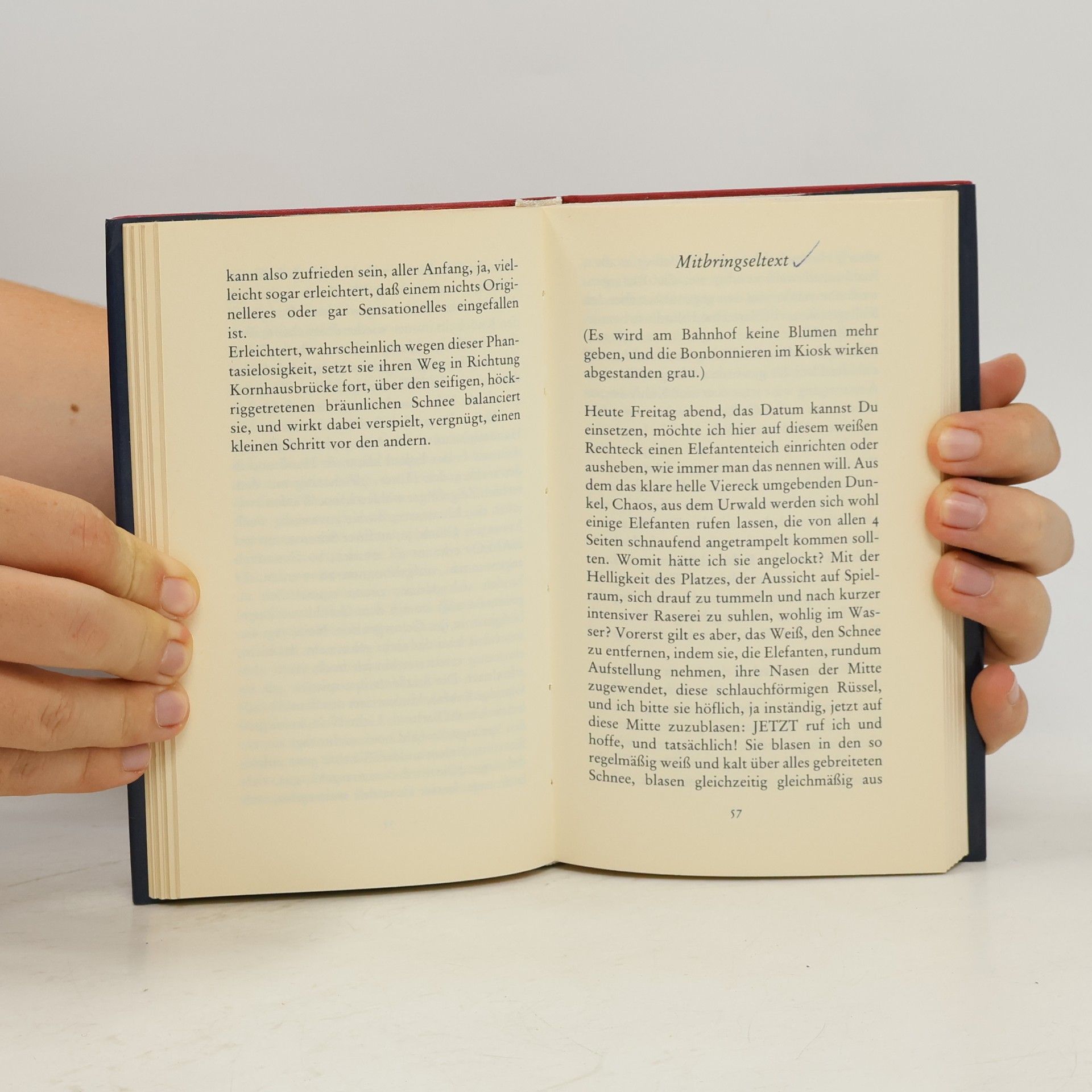 Erica Pedretti Sonnenaufgänge, Sonnenuntergänge