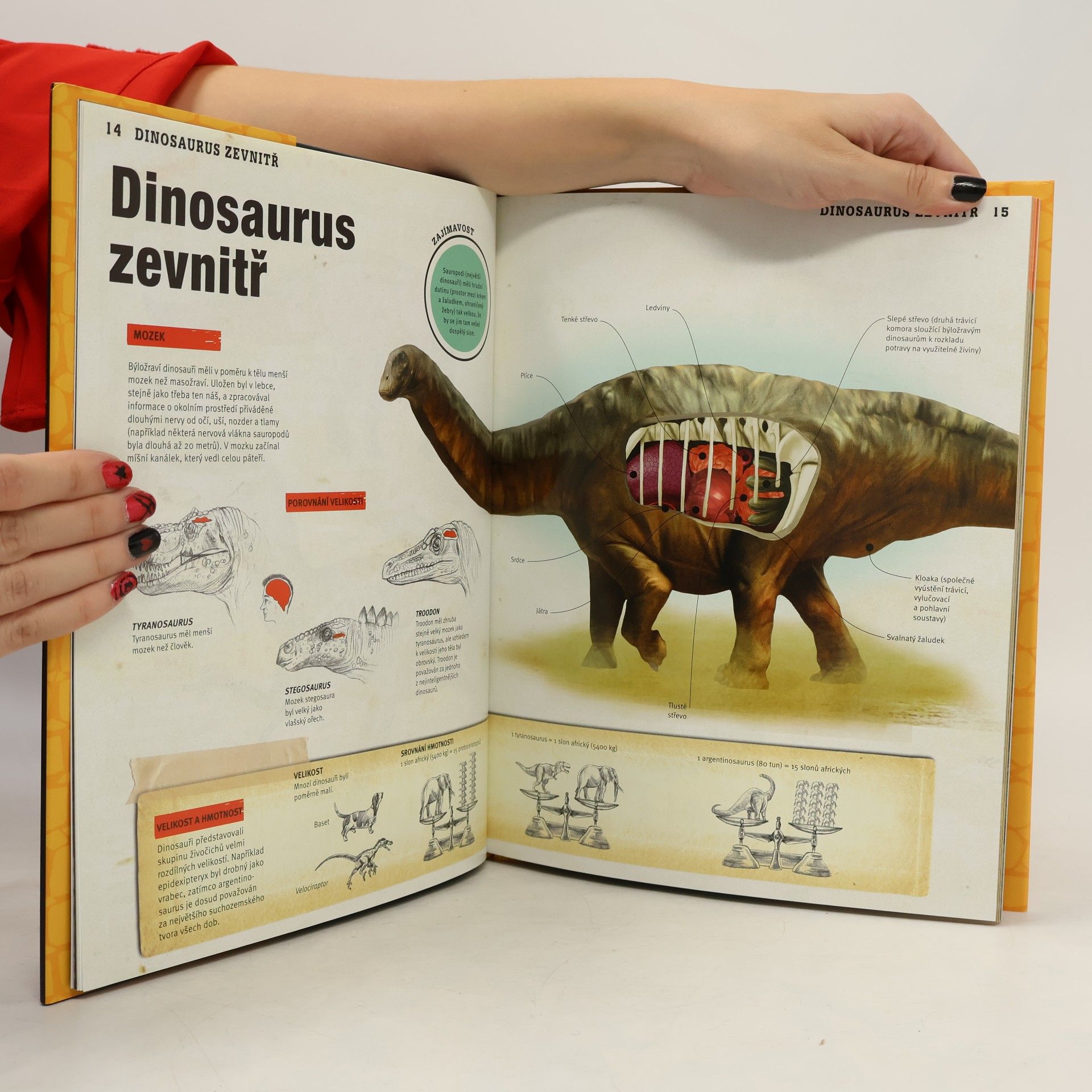 Collectif d'auteurs Dinosauři. Setkání s obry pravěkého světa
