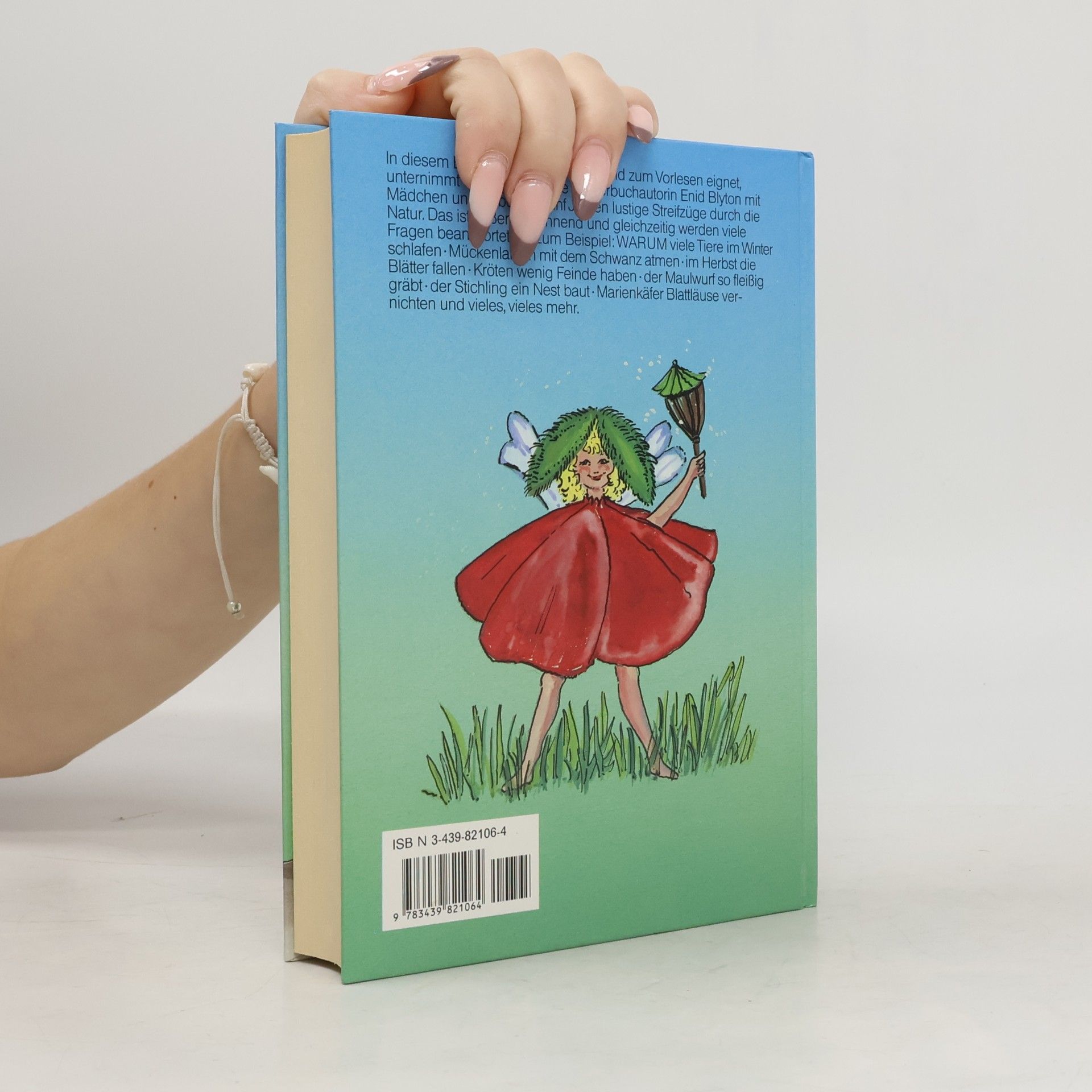 Enid Blyton Schnipp, Schnapp, Schnupp und viele andere schöne Geschichten