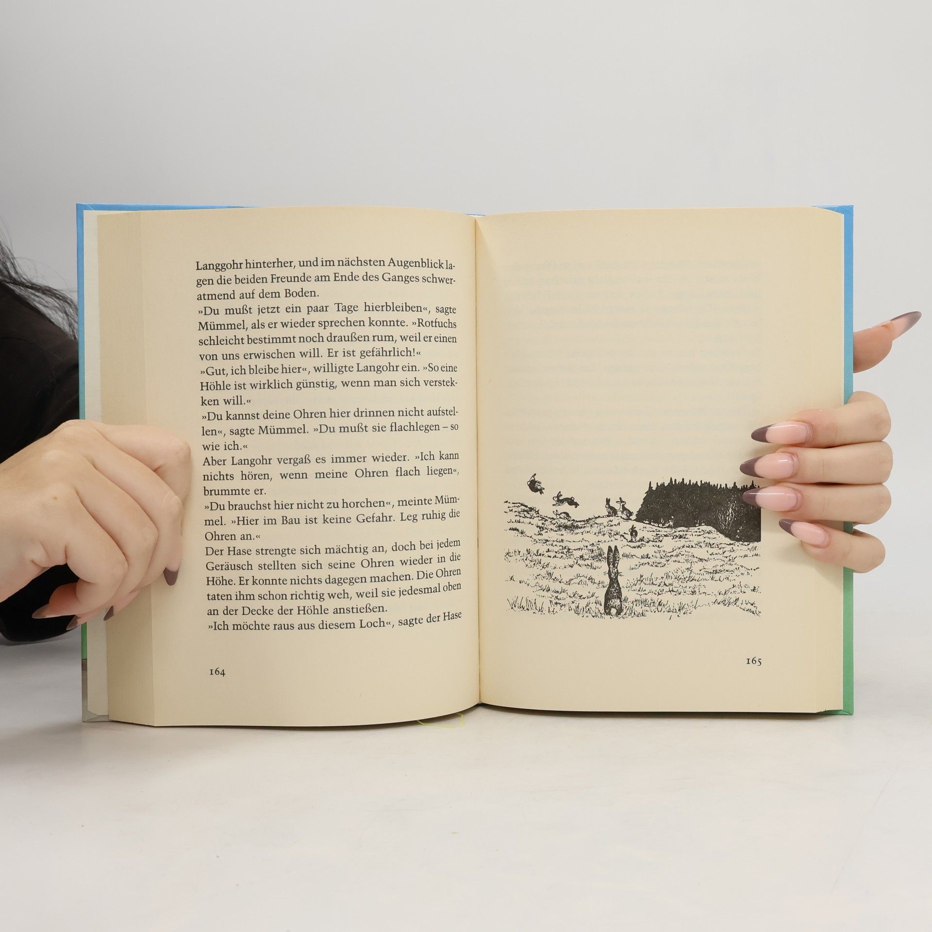 Enid Blyton Schnipp, Schnapp, Schnupp und viele andere schöne Geschichten