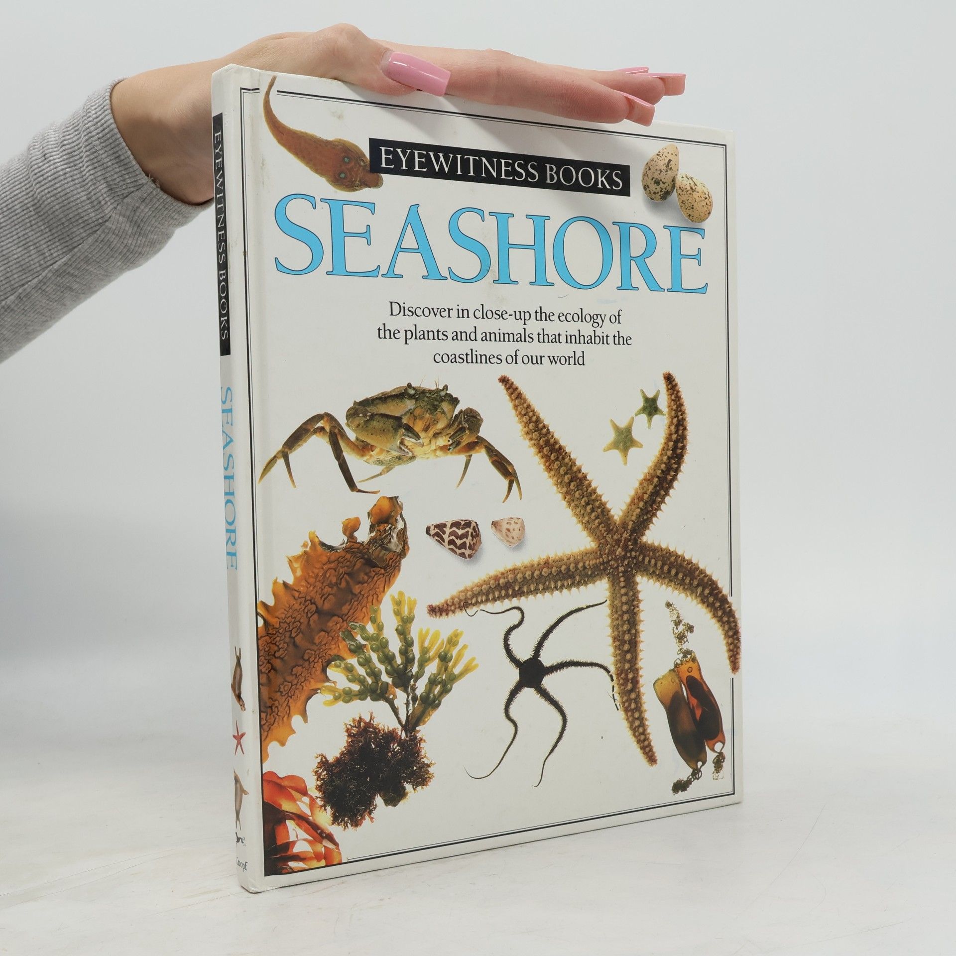 Steve Parker Eyewitness Books: Seashore