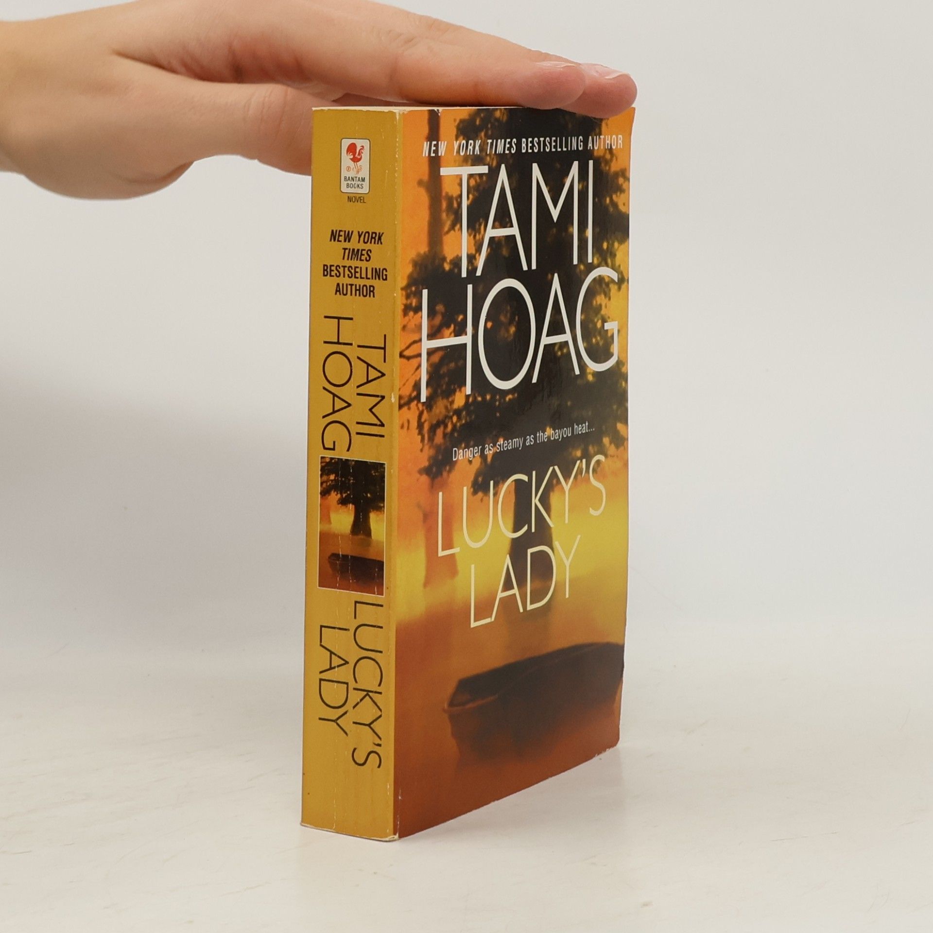 Tami Hoag Lucky's Lady