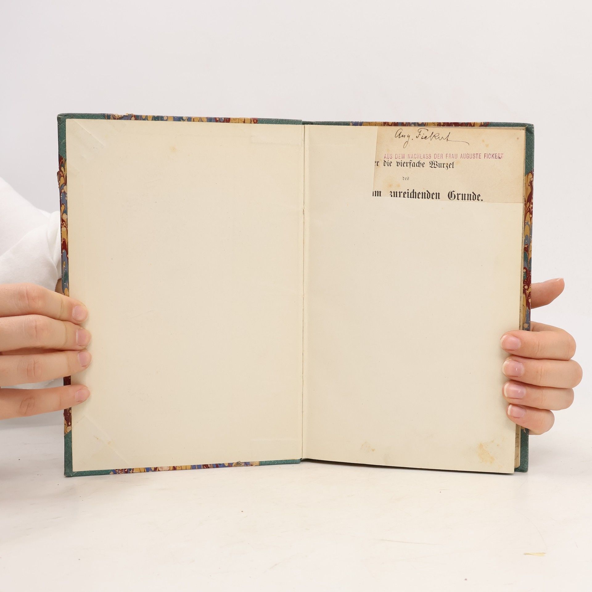 Arthur Schopenhauer Ueber der vierfache Wurzel des Sackes vom zureichenden Grunde