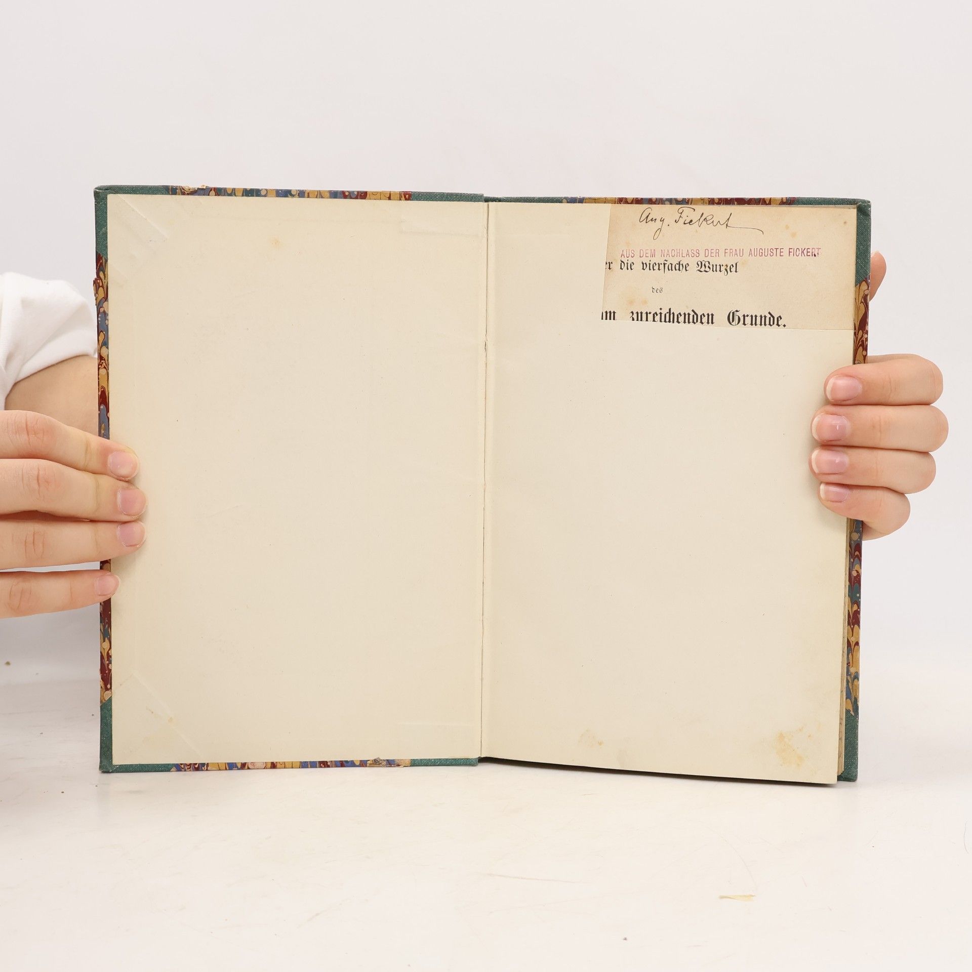 Arthur Schopenhauer Ueber der vierfache Wurzel des Sackes vom zureichenden Grunde